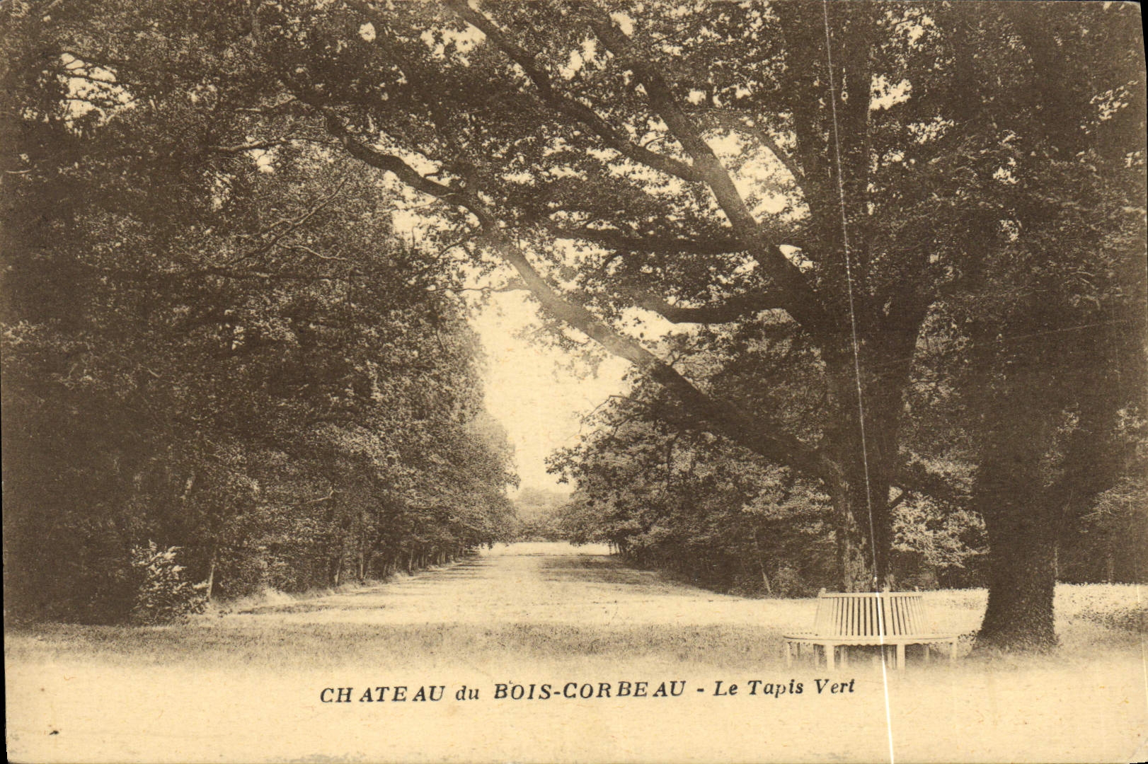 CPA Chateau du Bois Corbeau Le Tapis Vert