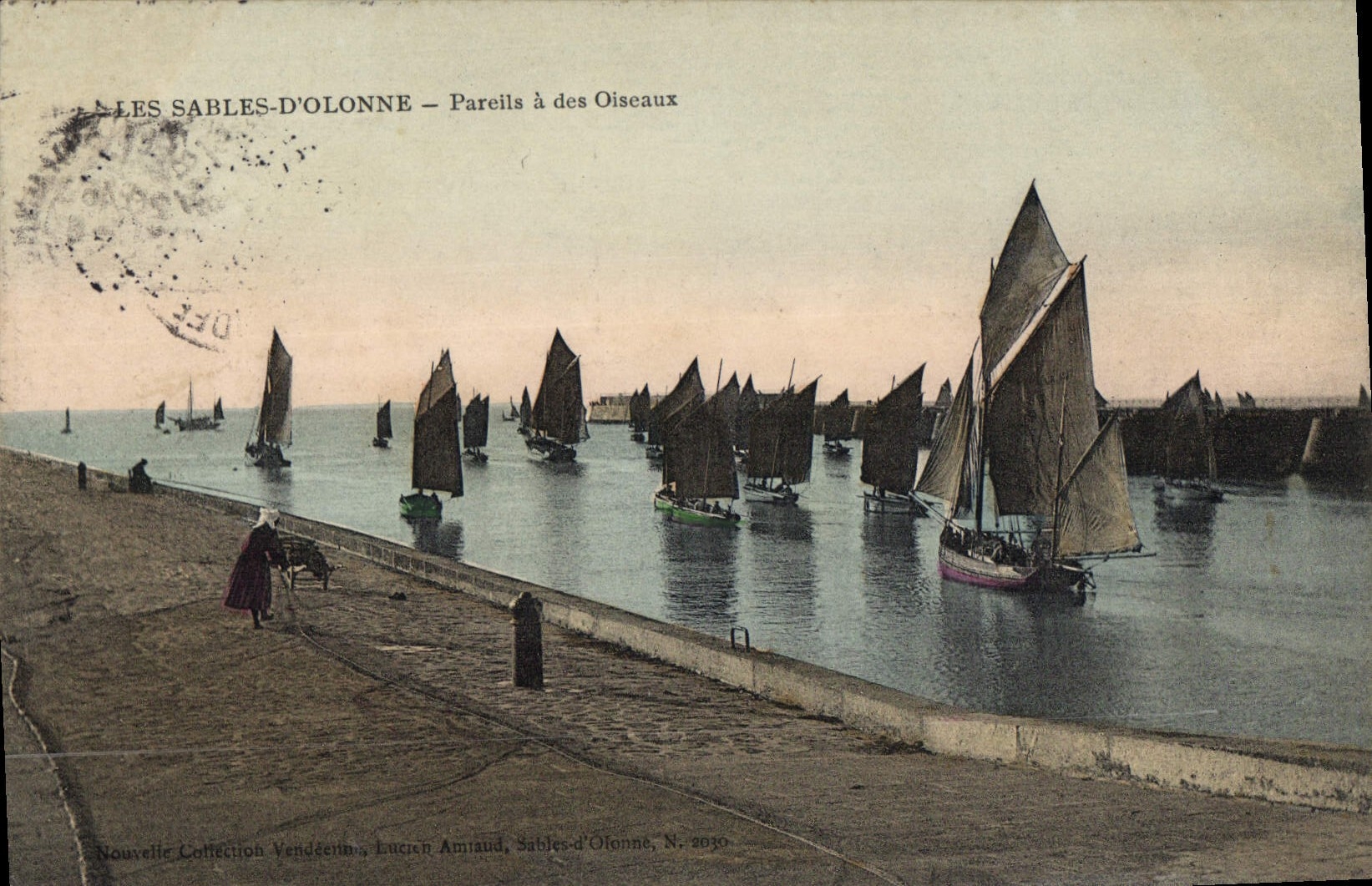 CPA Les Sables d'Olonne Pareils a des Oiseaux