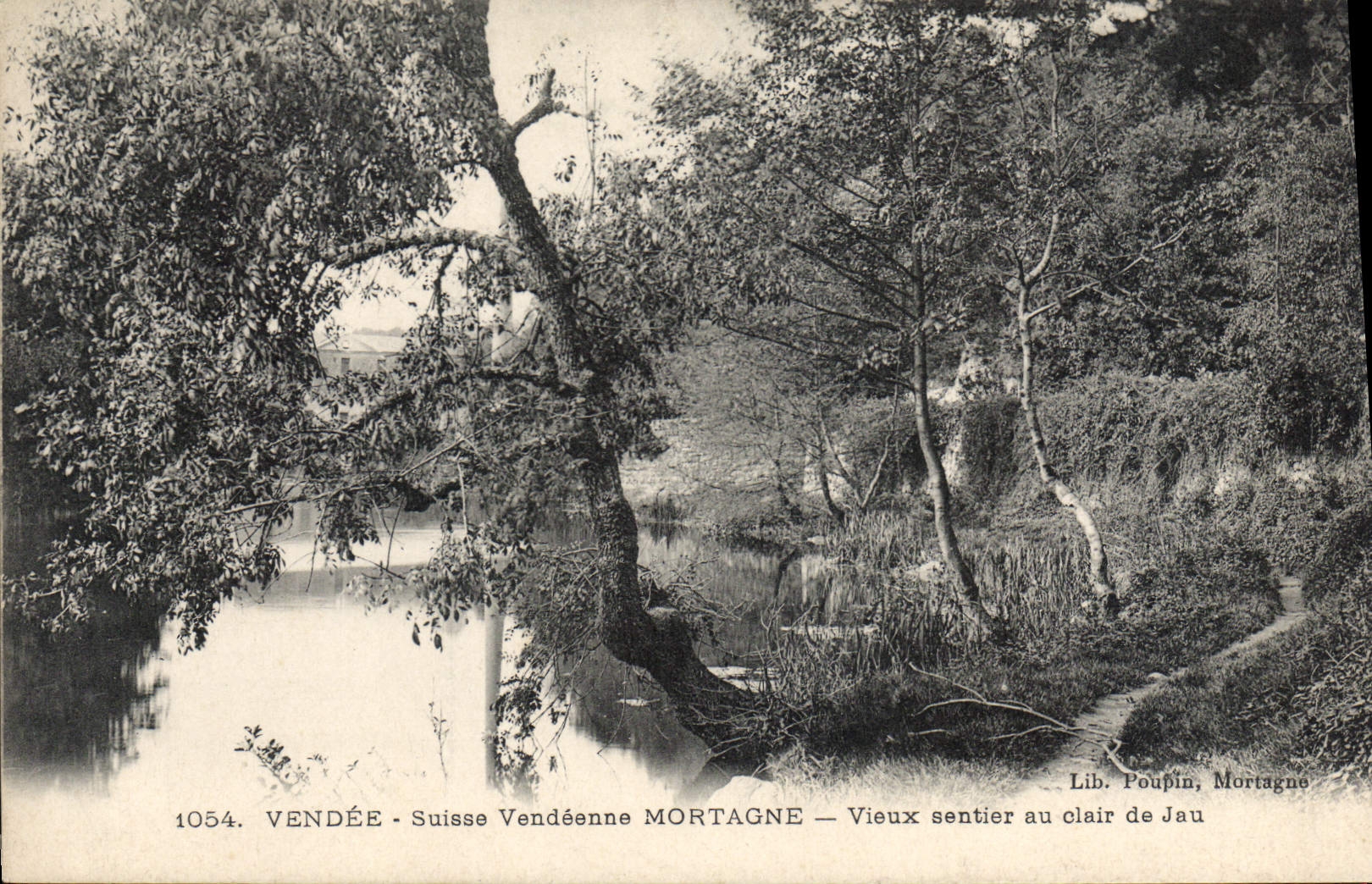 CPA Vendee Suisse Vendeenne Mortagne Vieux sentier au clair de Jau