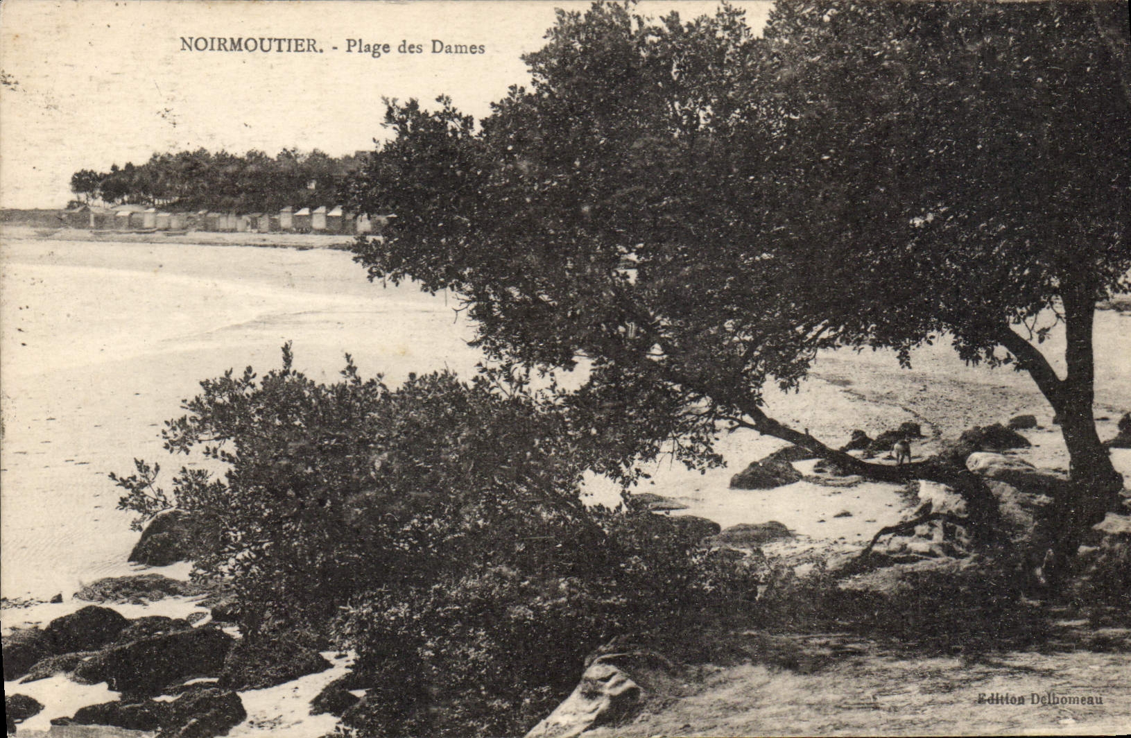 CPA Noirmoutier Plage des Dames