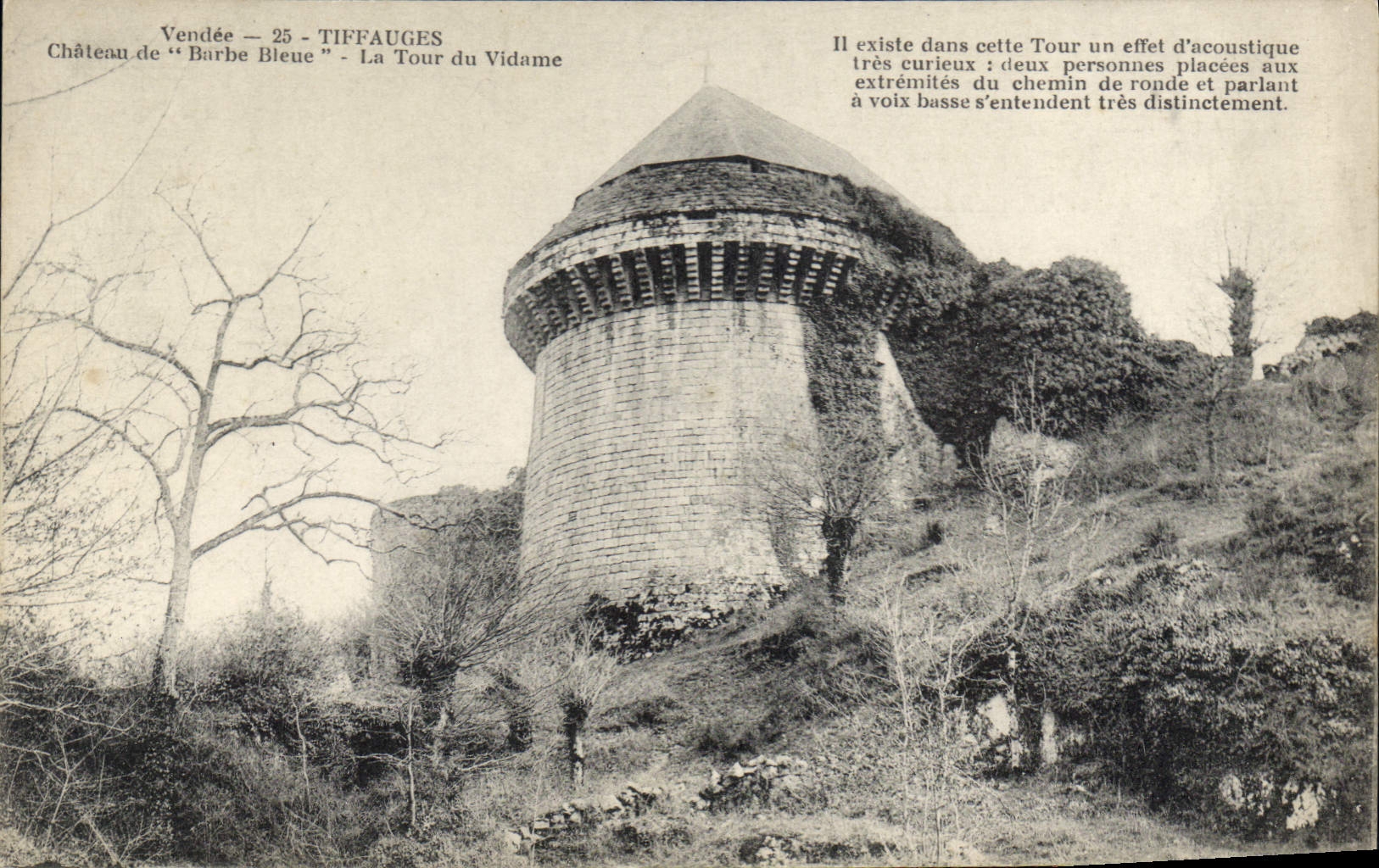 CPA Vendee Tiffauges Chateau Barbe Bleue