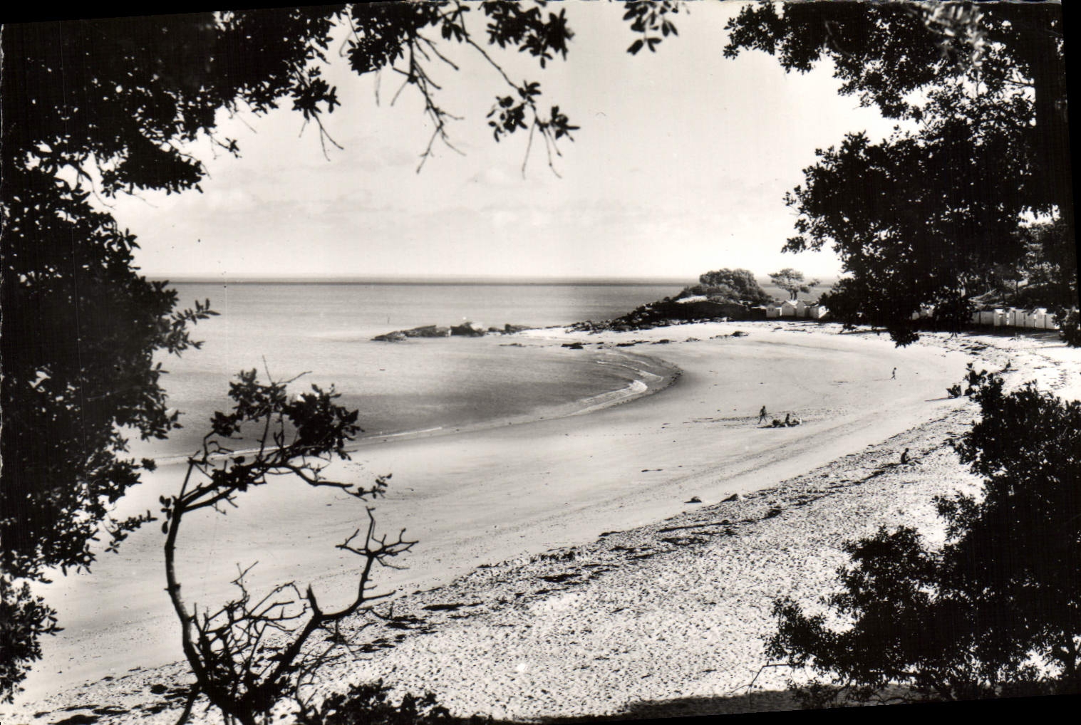 CPA Ile de Noirmoutier (Vendee) La Plage des Dames