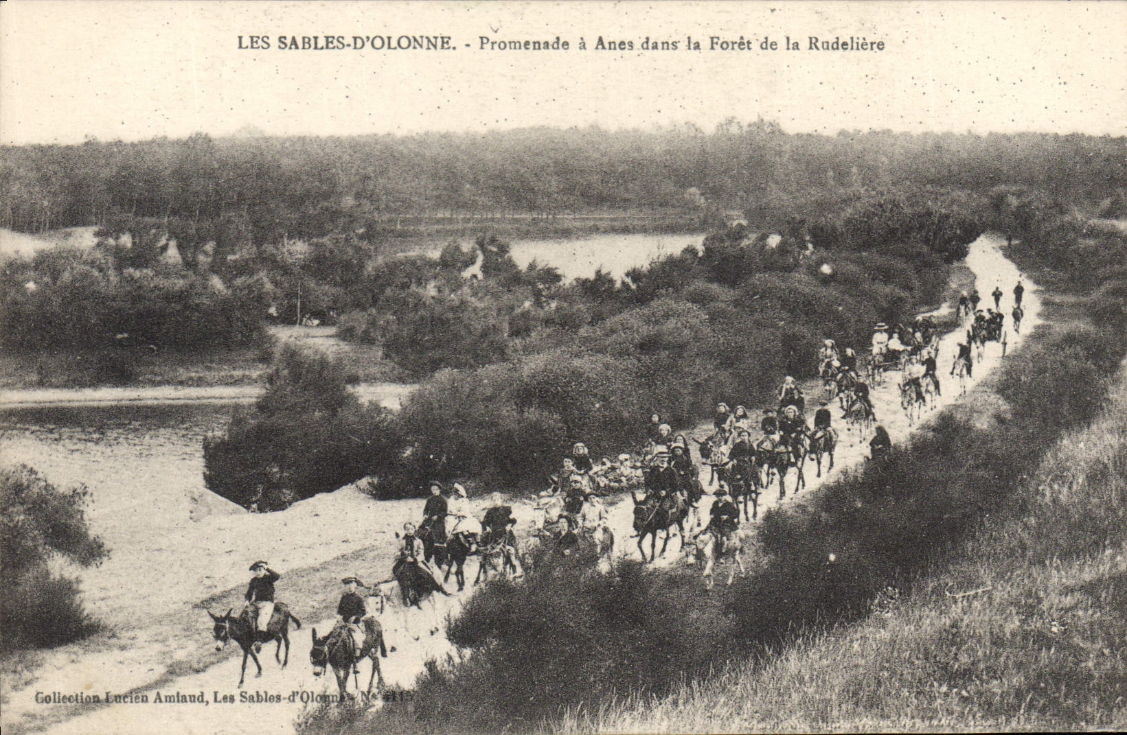 CPA Les Sables d'Olonne Promenade à Anes dans la Foret de la Rudeliere