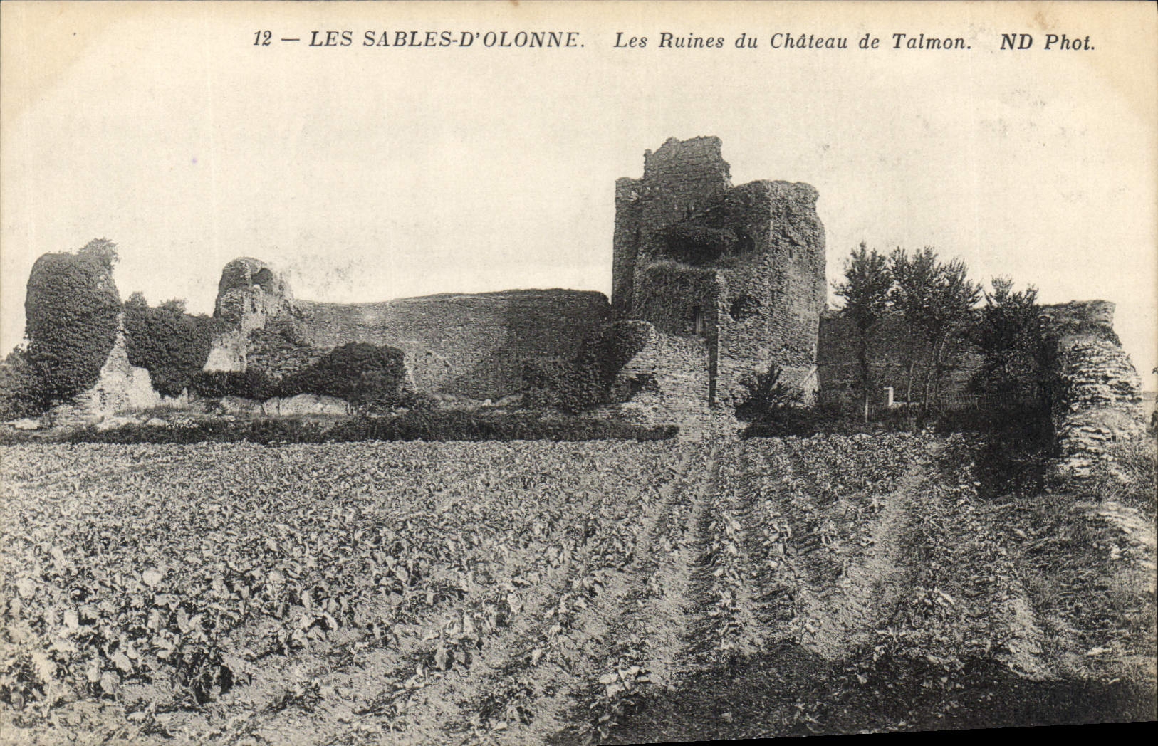 CPA Les Sables d'Olonne Les Ruines du Chateau de Talmon