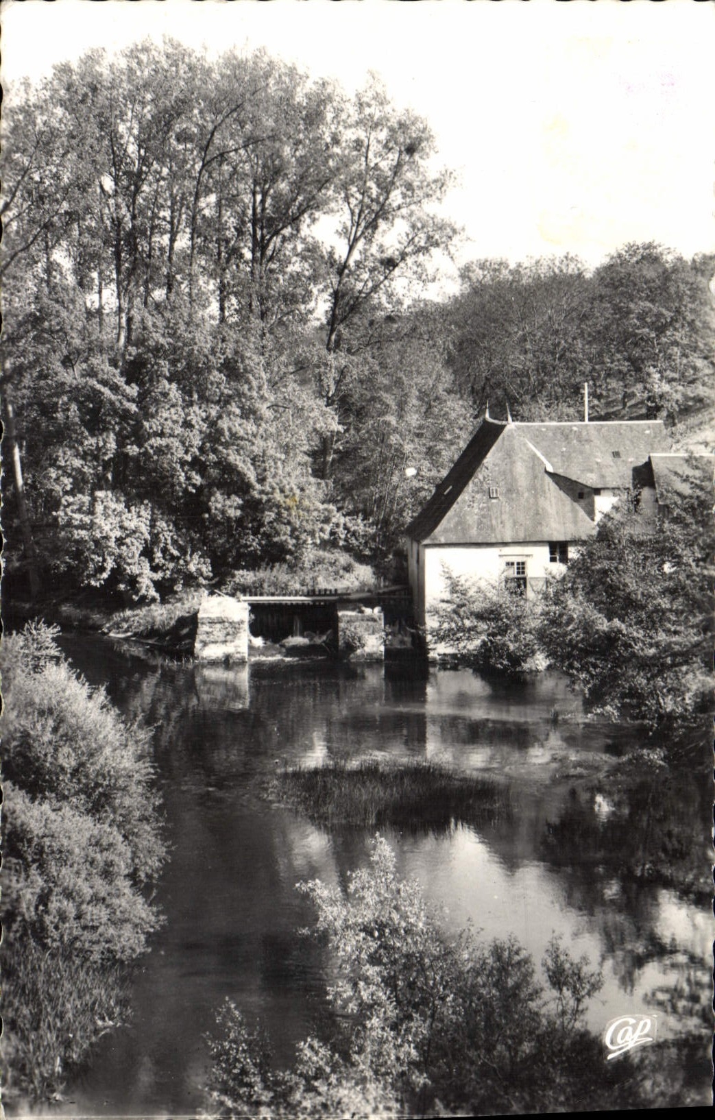 CPA La Roche Posay L'Ancien Moulin et la Creuse