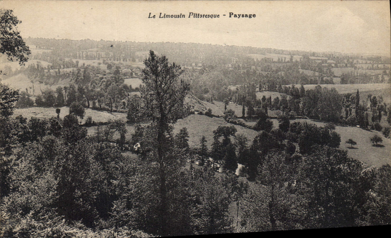CPA Le Limousin Pittoresque Paysage