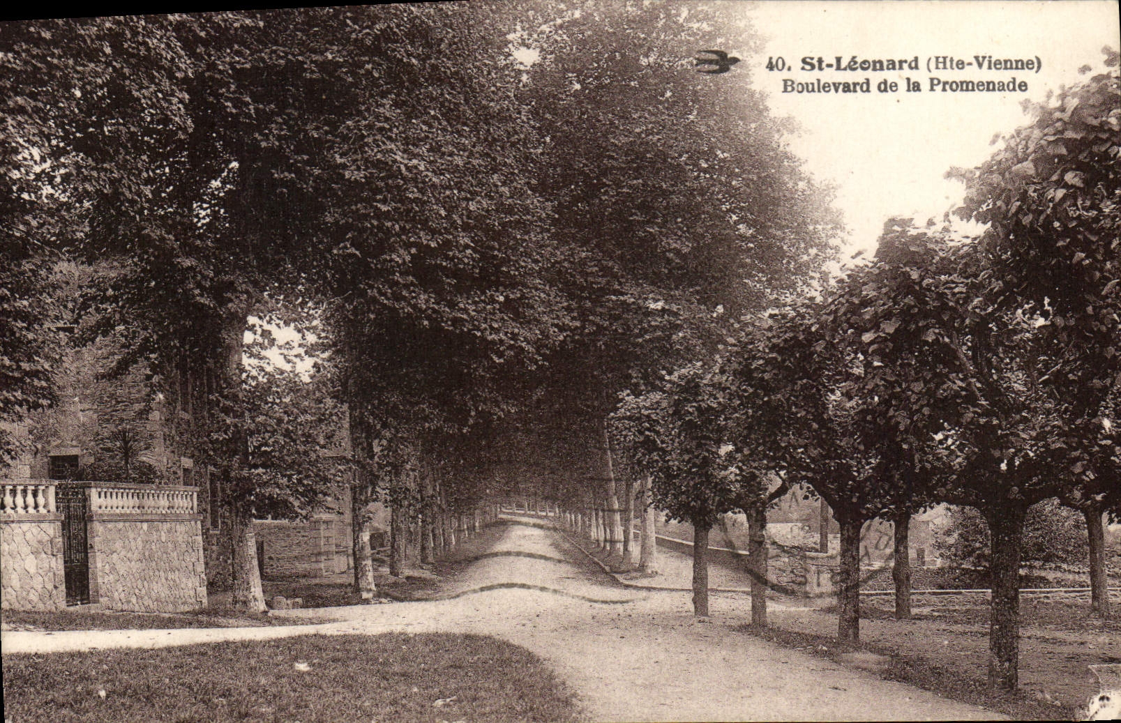 CPA St Leonard (Haute Vienne) Boulevard de la Promenade