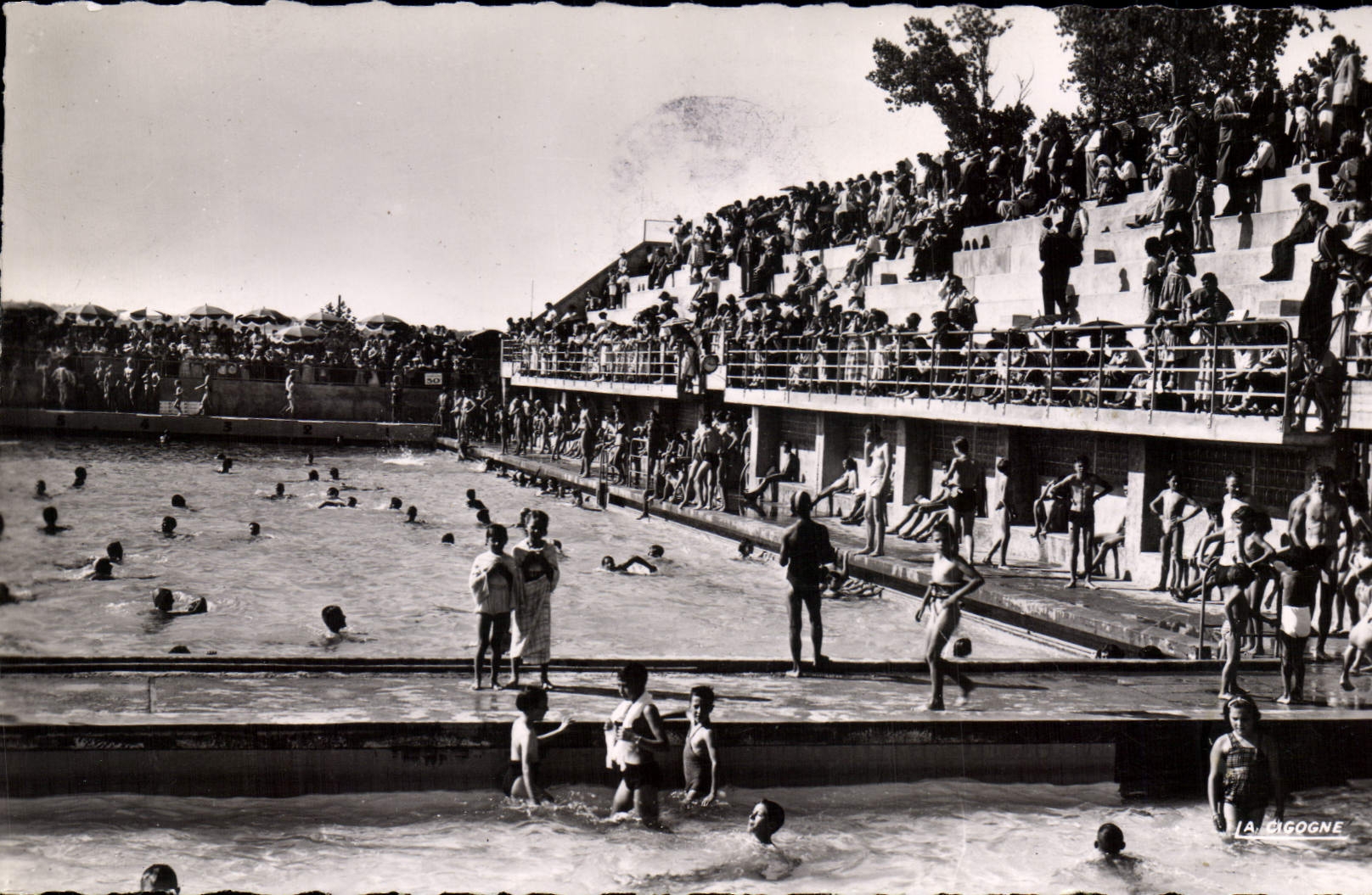 CPA Limoges (Haute Vienne) La piscine municipale