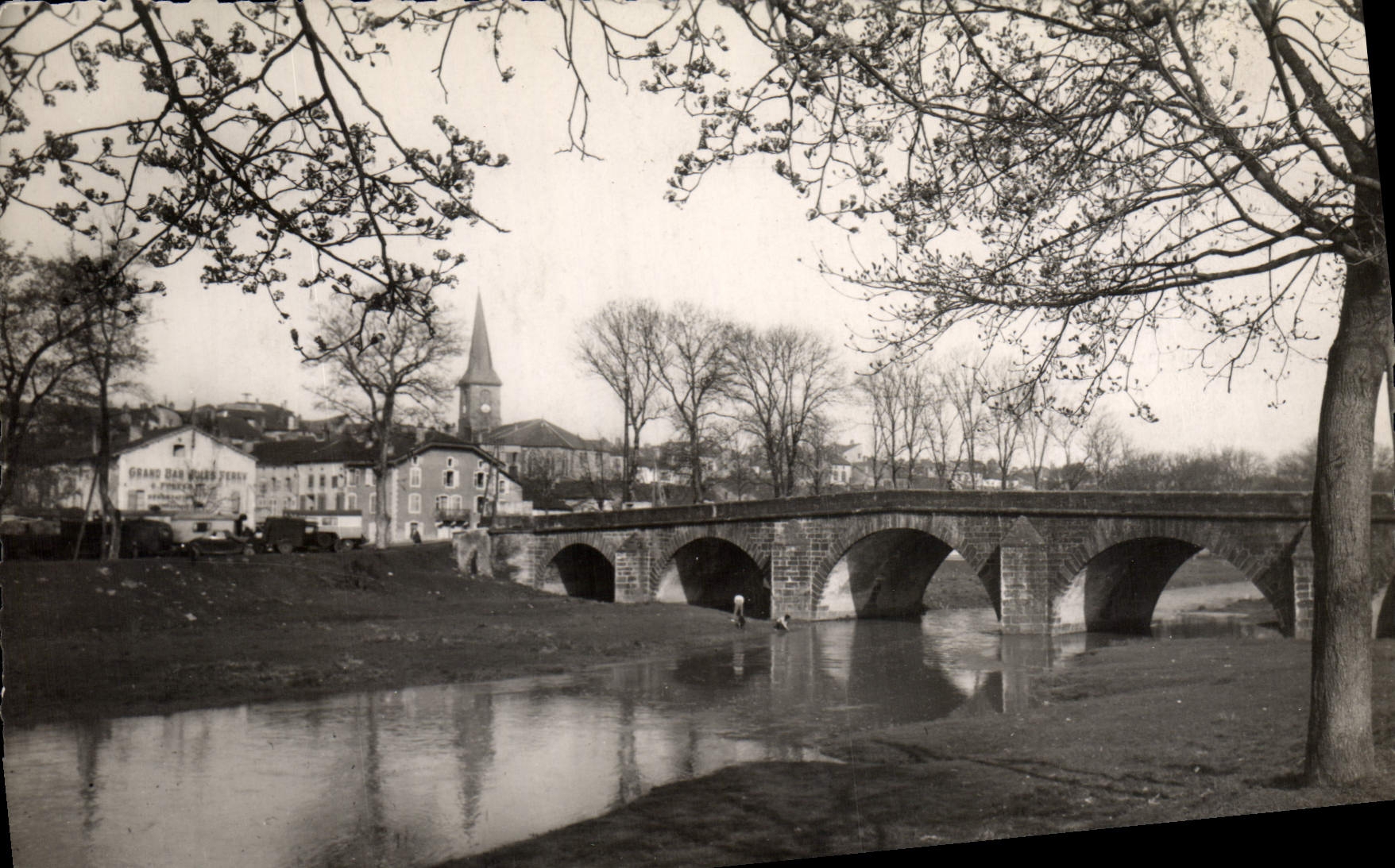CPSM Mirecourt Vosges Le Madon Pont du Faubourg 