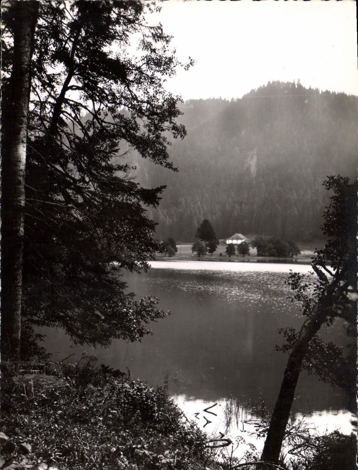 CPSM Les Vosges Pittoresques Lac de Longemer 