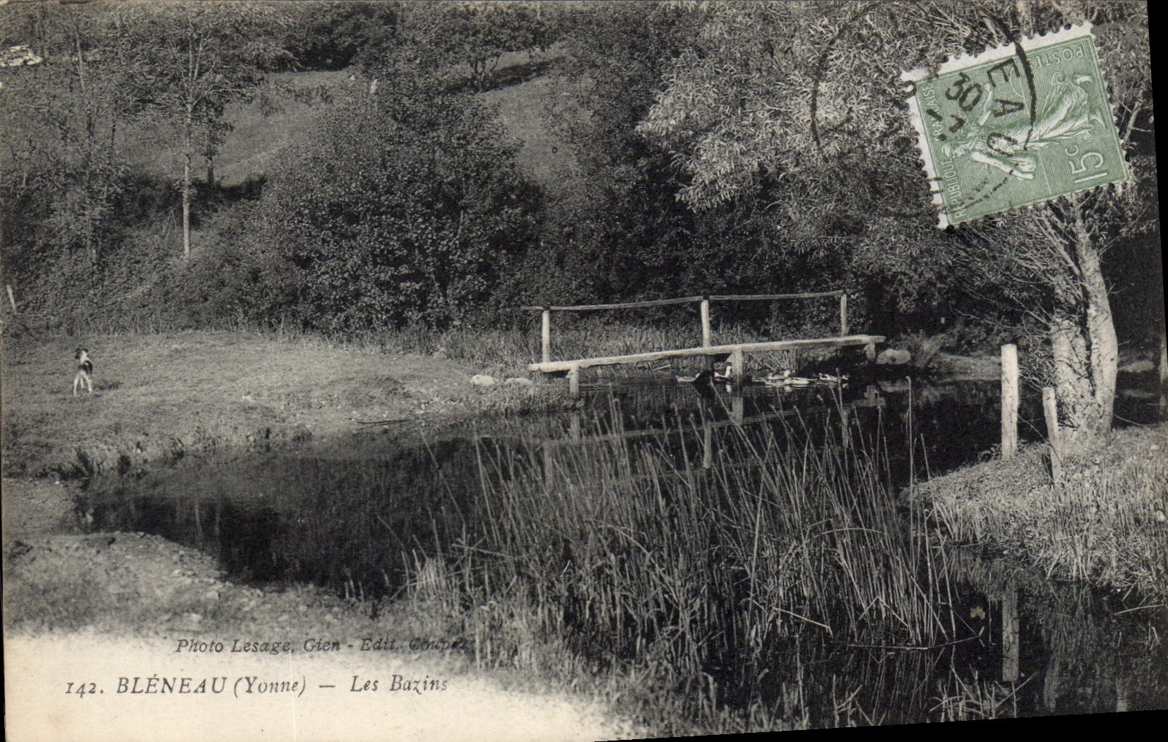 CPA Bleneau Yonne Les Bazins 