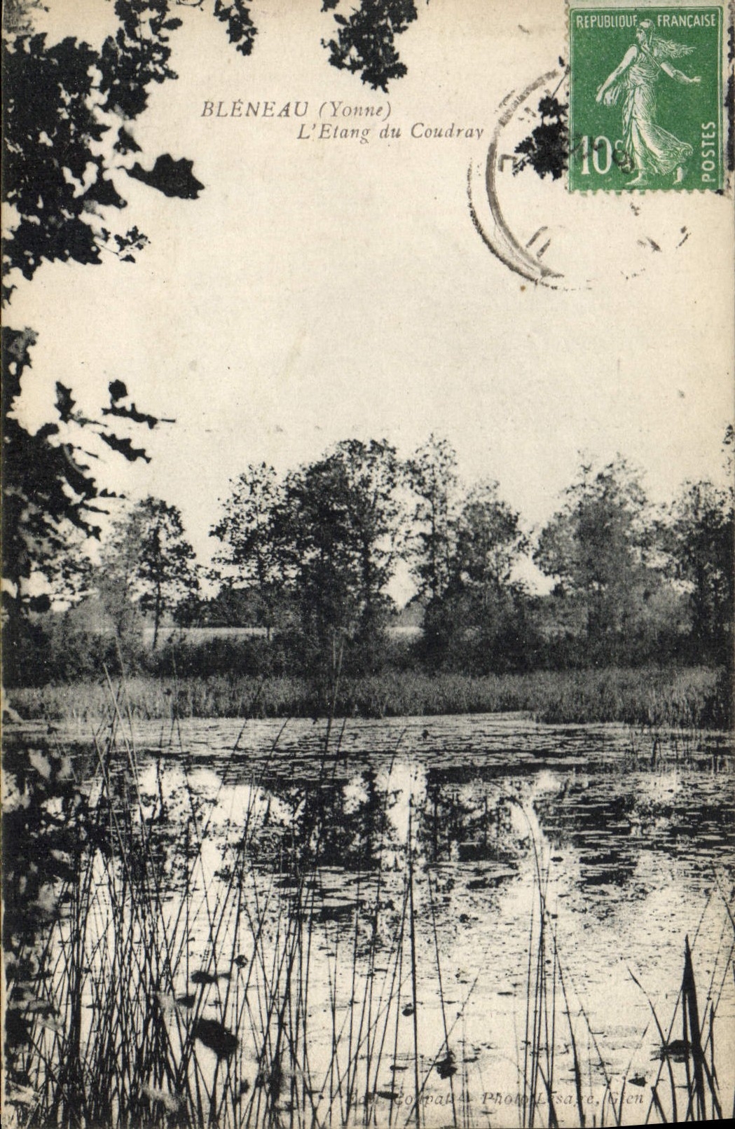 CPA Bleneau Yonne L'Etang du Coudray 