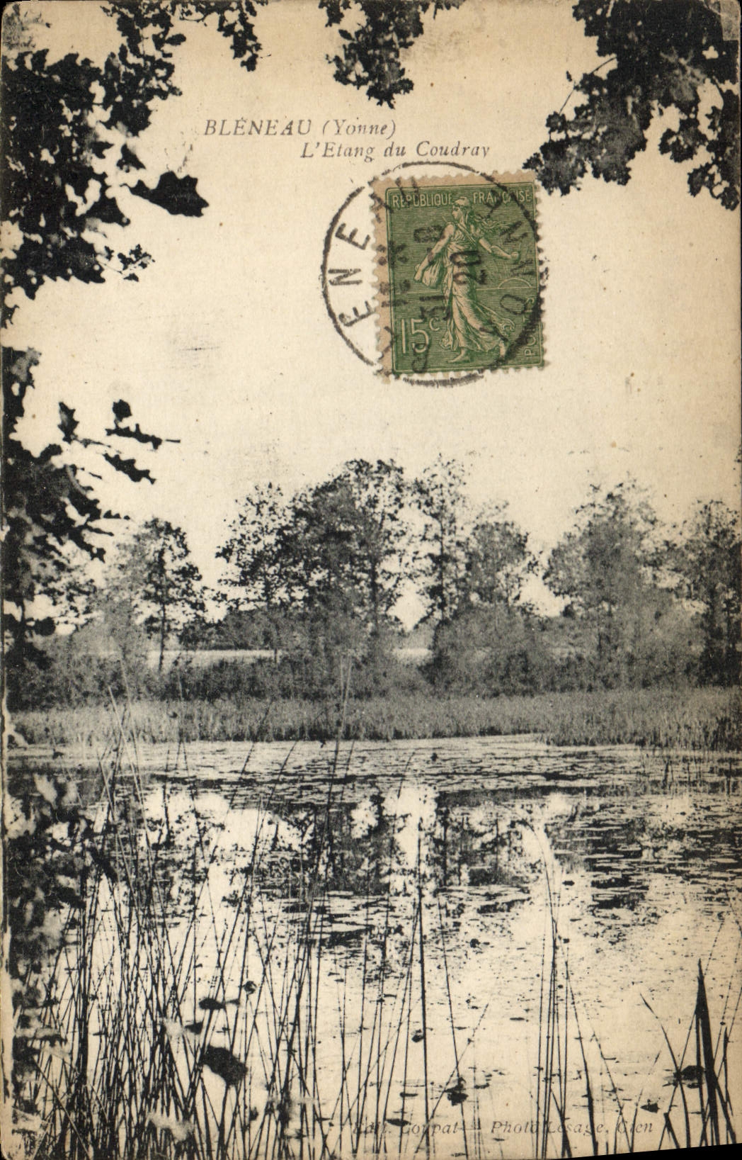 CPA Bleneau Yonne L'Etang du Coudray 