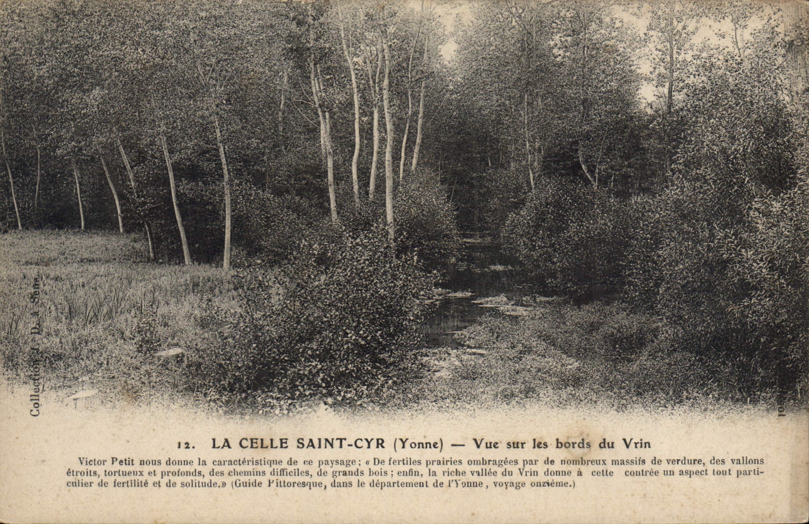 CPA La Celle Saint Cyr Yonne Vue sur les bords du Vrin