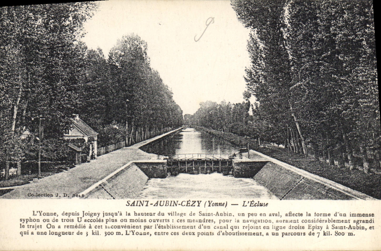 CPA Saint Aubin Cezy Yonne L'Eglise