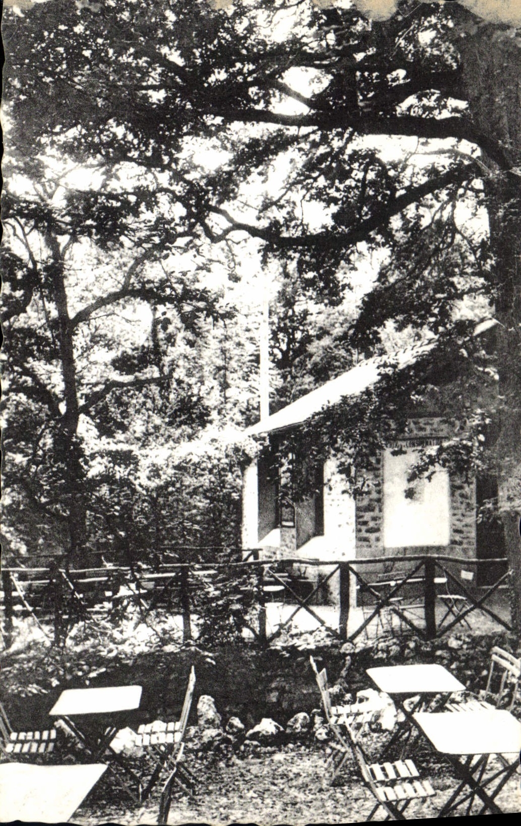 CPA Arcy sur Cure Yonne Effet d'eclairage sur les terrasses et le Chalet des Grottes