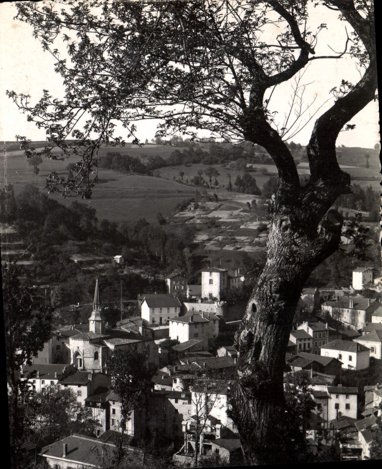 CPSM L'Auvergne Vallee de la Dore Olliergues dans son nid 