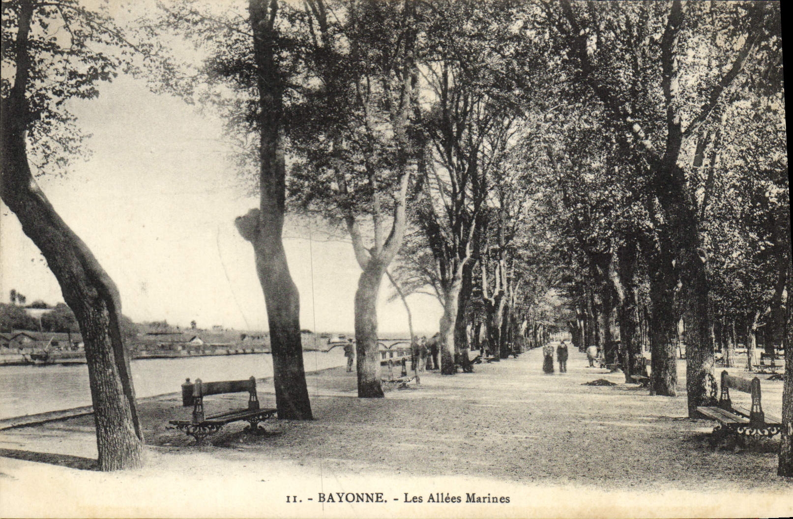 CPA Bayonne Les Allees Marines 