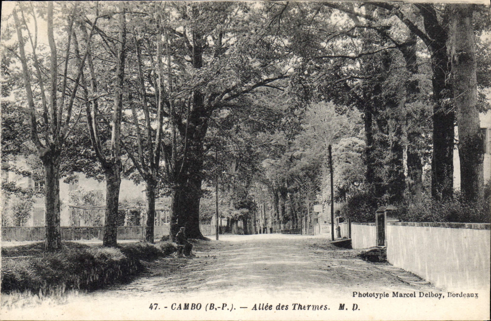 CPA Cambo Basses Pyrenees Allee des Thermes