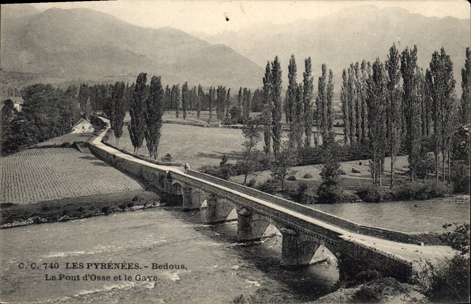 CPA Les Pyrenees Bedous Le Pont d'Osse et le Gaye