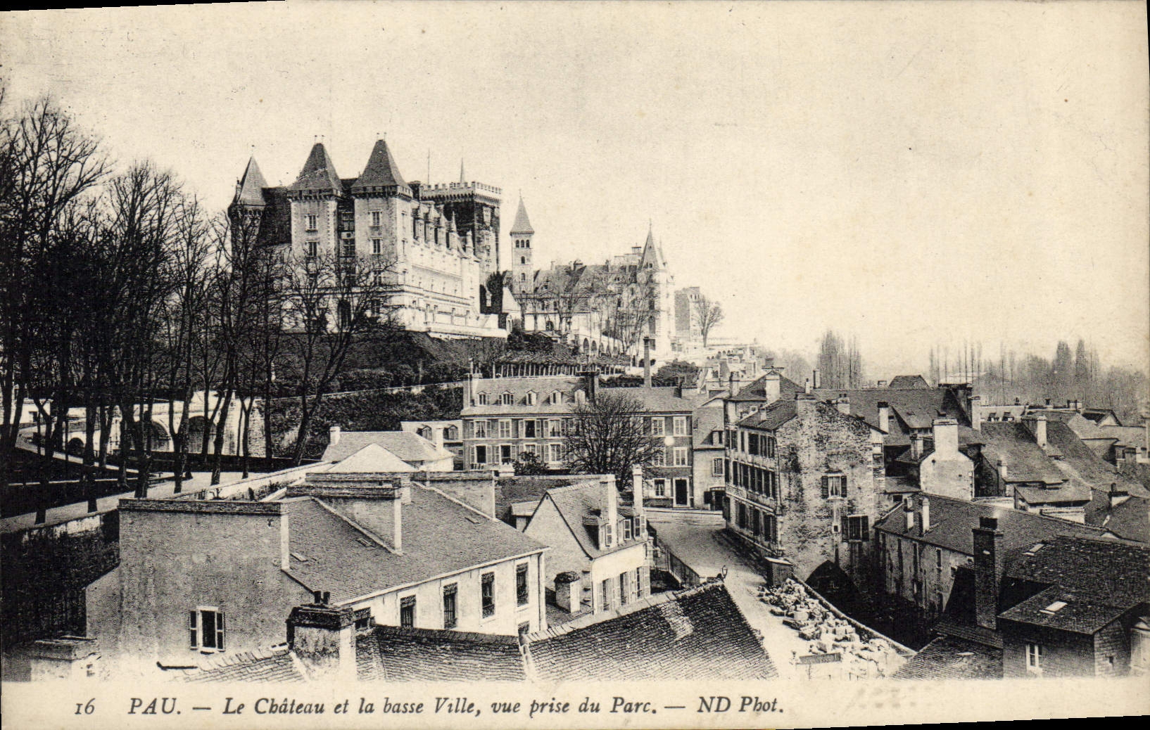 CPA Pau Le Chateau et la Basse Ville vue prise du Parc 