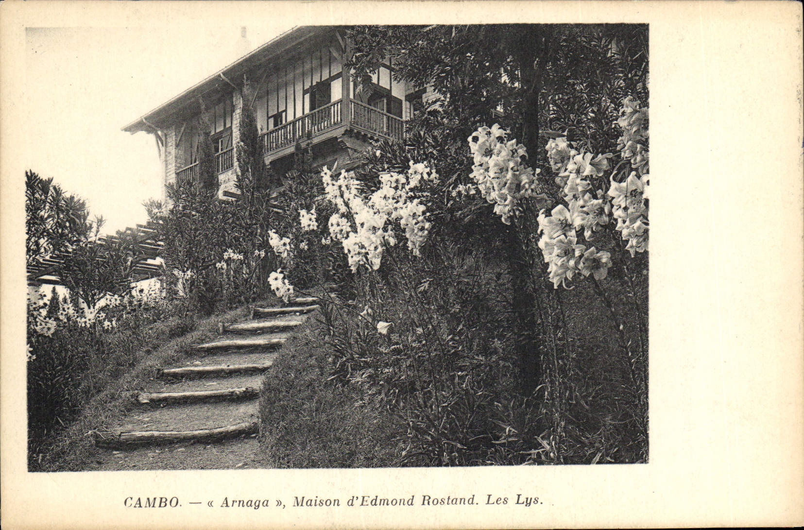 CPA Cambo Arnaga Maison d'Edmond Rostand Les Lys