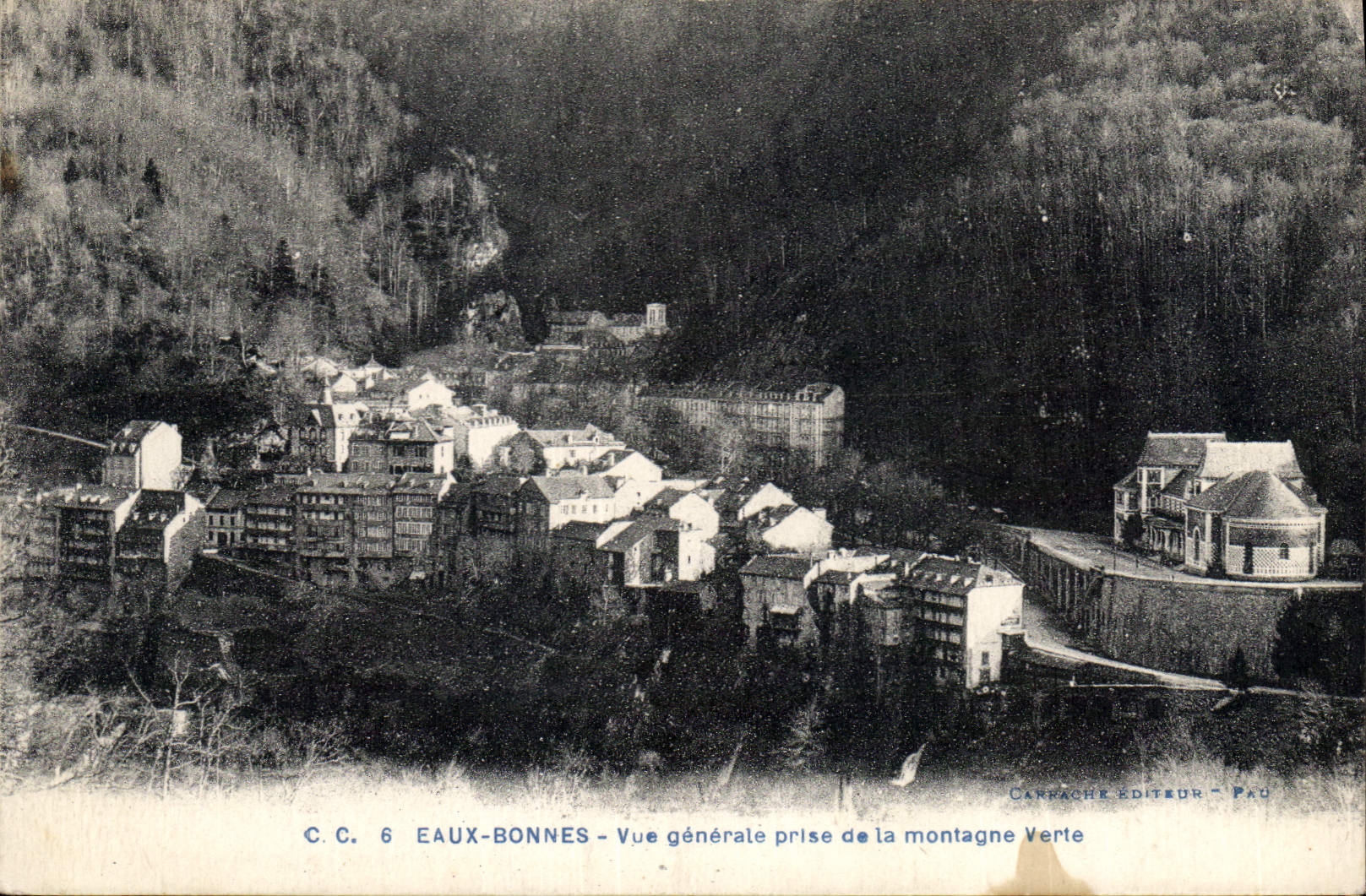 CPA Eaux Bonnes vue generale prise de la montagne verte
