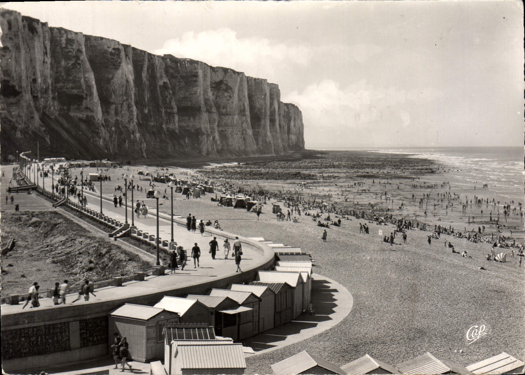 CPSM LE TREPORT la digue promenade