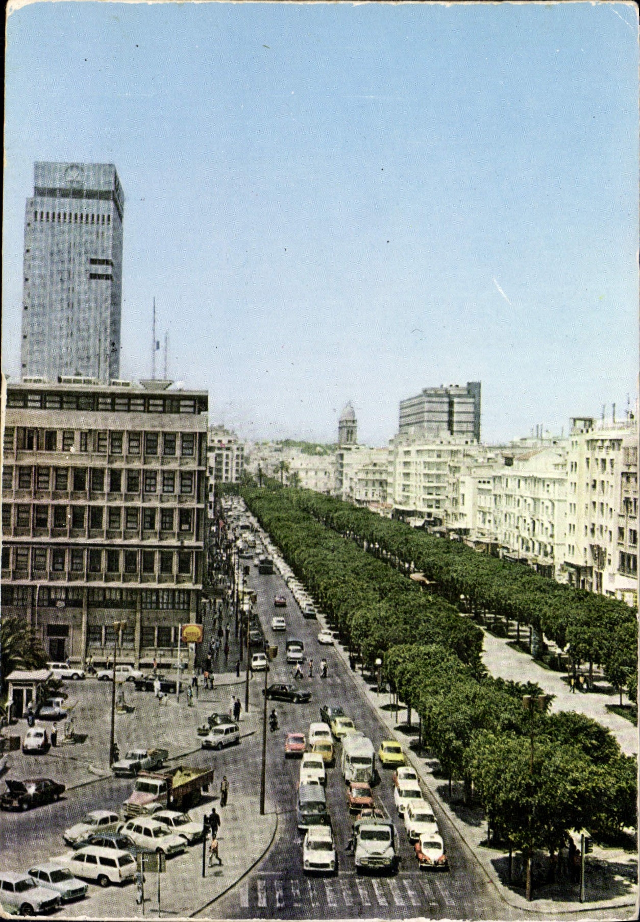 CPSM avenue Habib Bourguiba