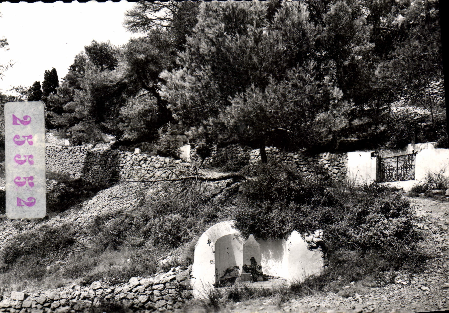 CPSM GRUISSAN cimetière marin