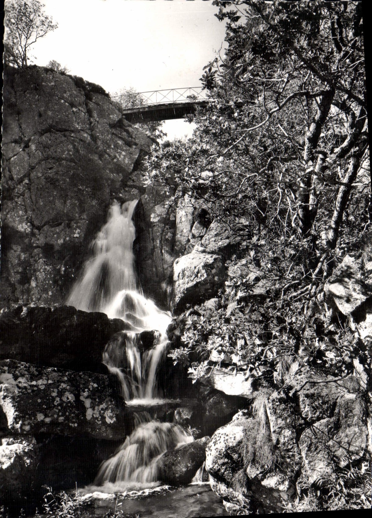 CPSM Massif de l'Aigoual cascade et passerelle de l'Orgon