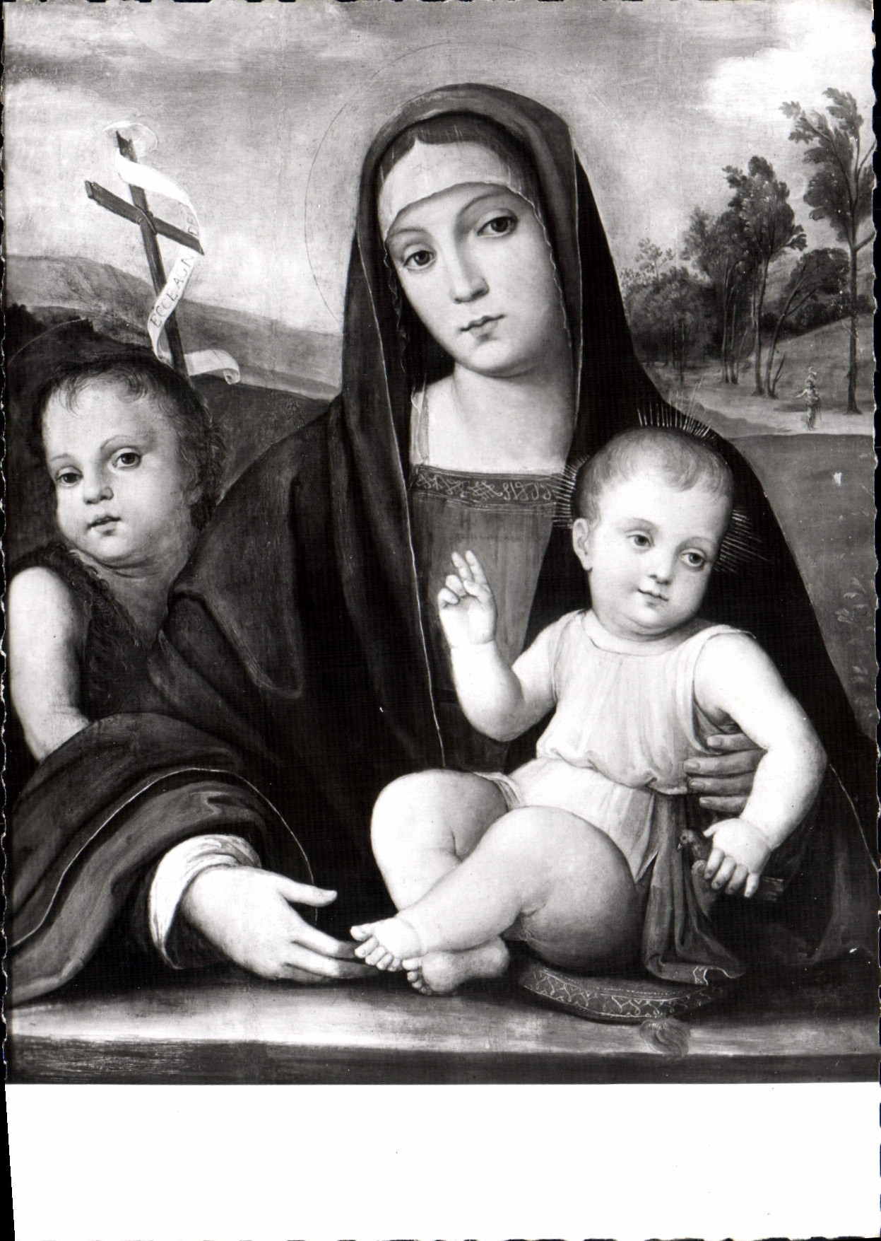CPSM musée des beaux arts de Nimes Francesco Francia la Vierge l'enfant et Saint Jean-Baptiste