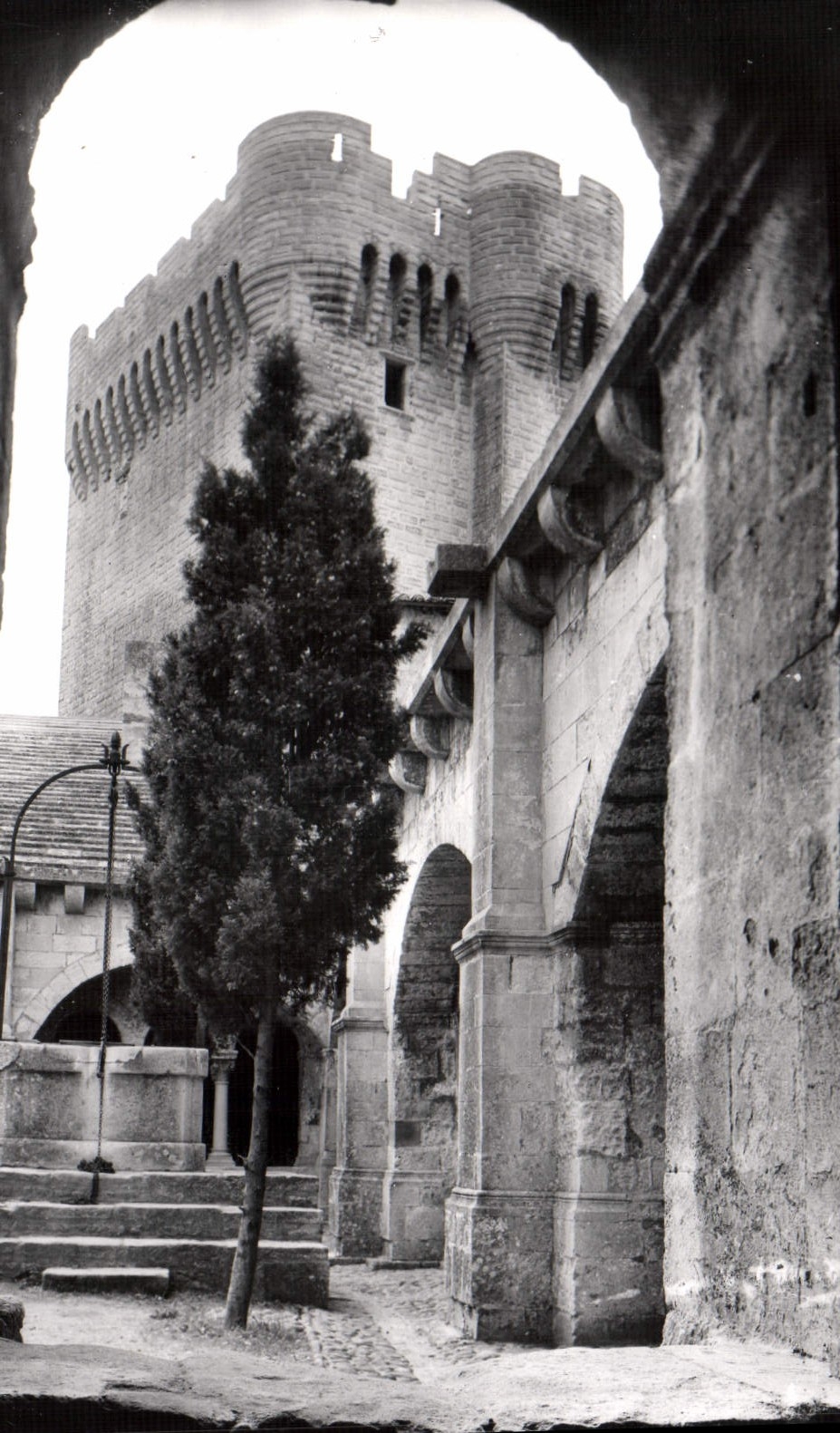 CPM Arles Sur Rhone abbaye