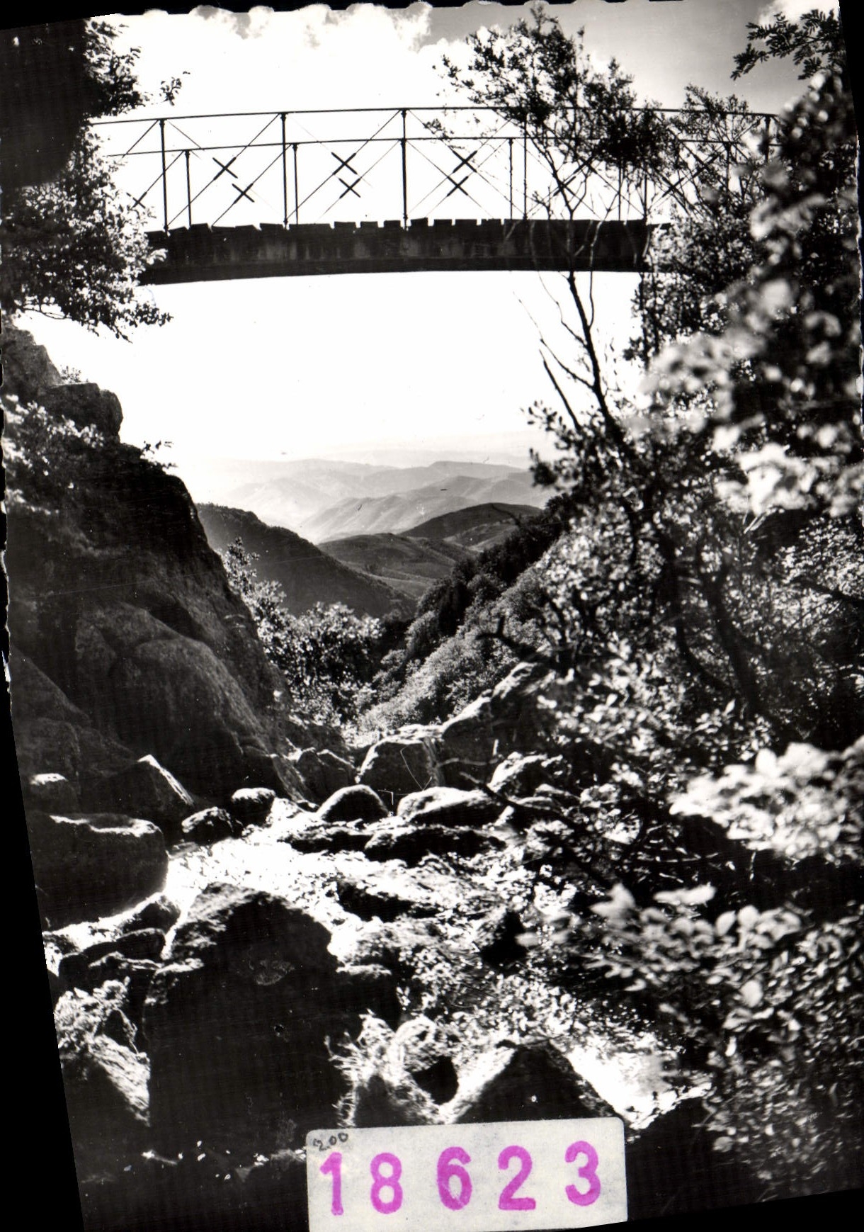 CPM Massif De L'Aigoual Passerelle De I'Orgon