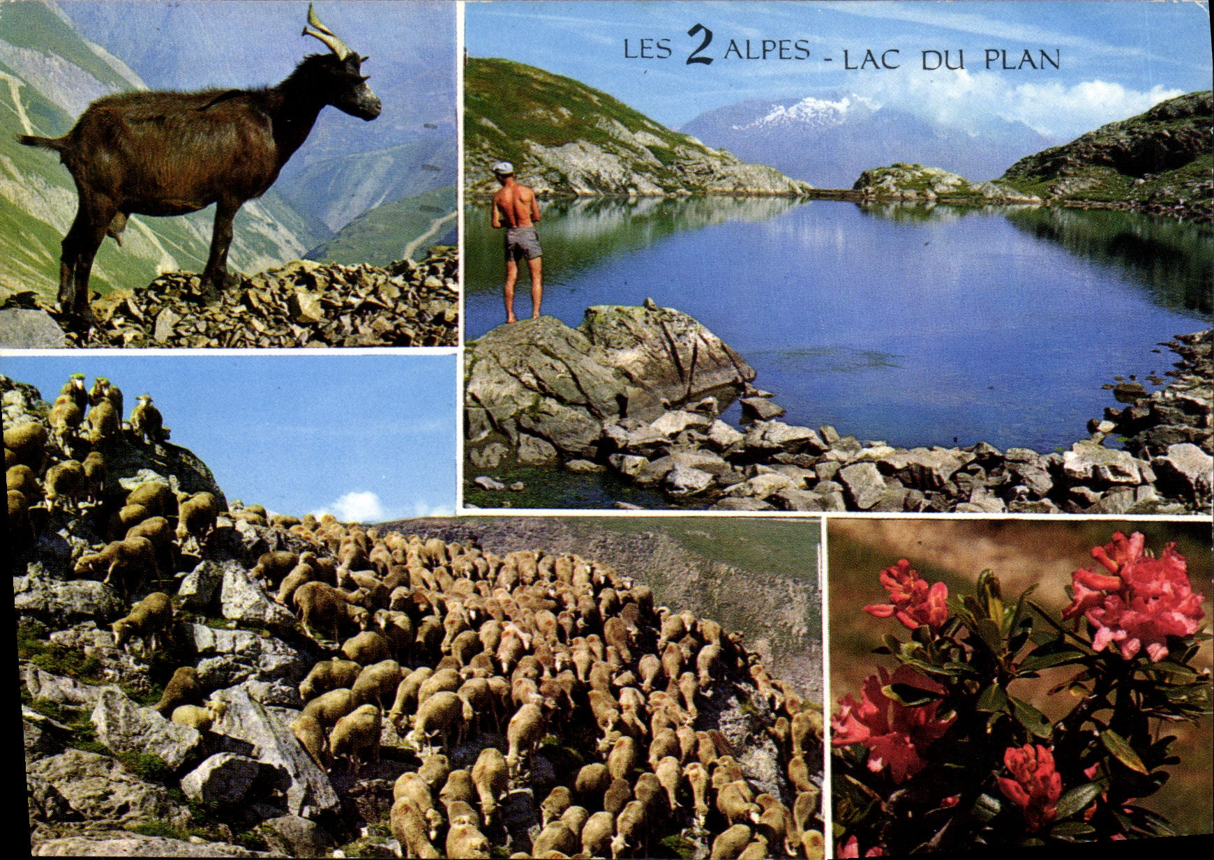 CPM Les 2 Alpes Lac Du Plan