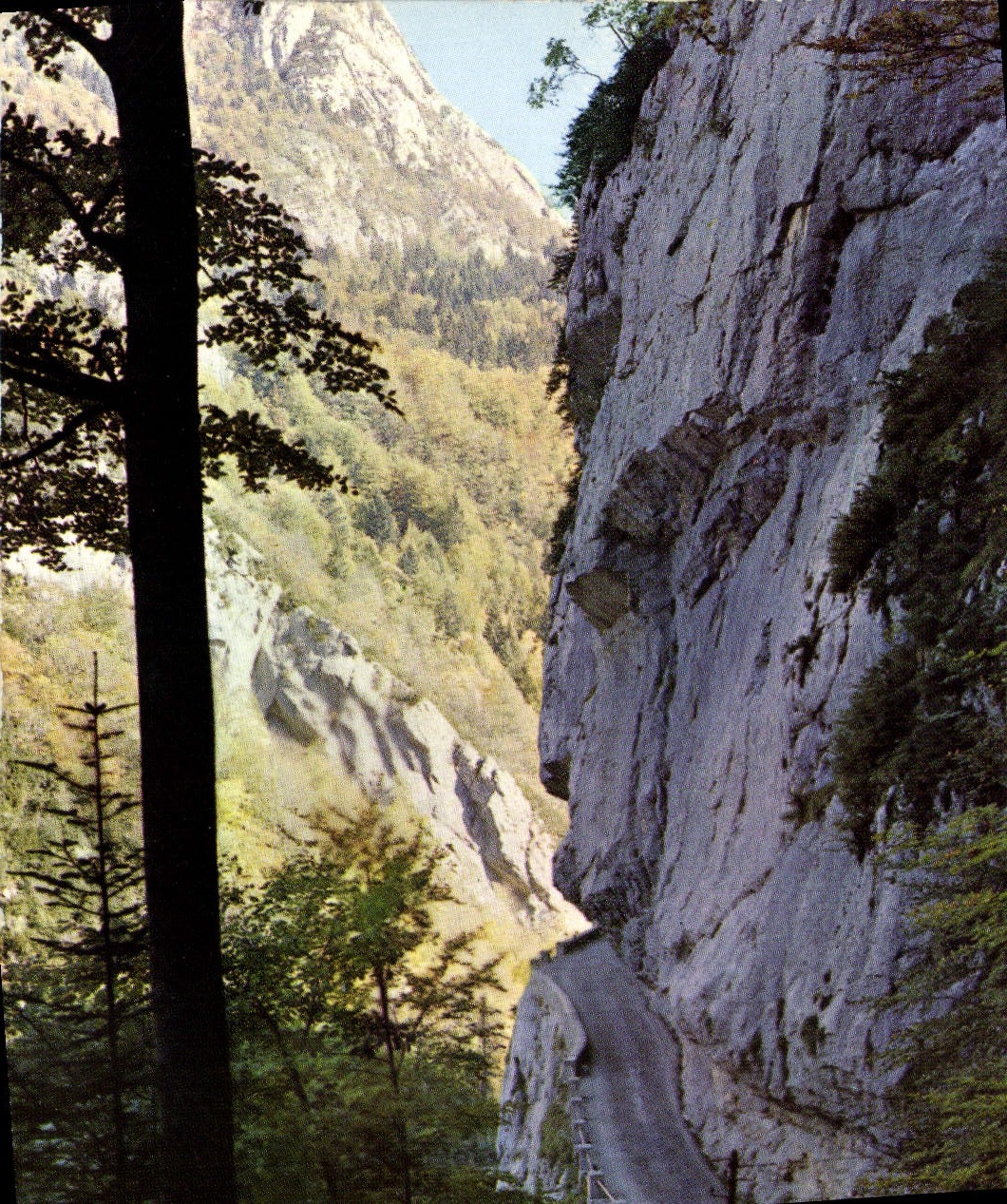 CPM Sur Une Route Des Alpes Vertige