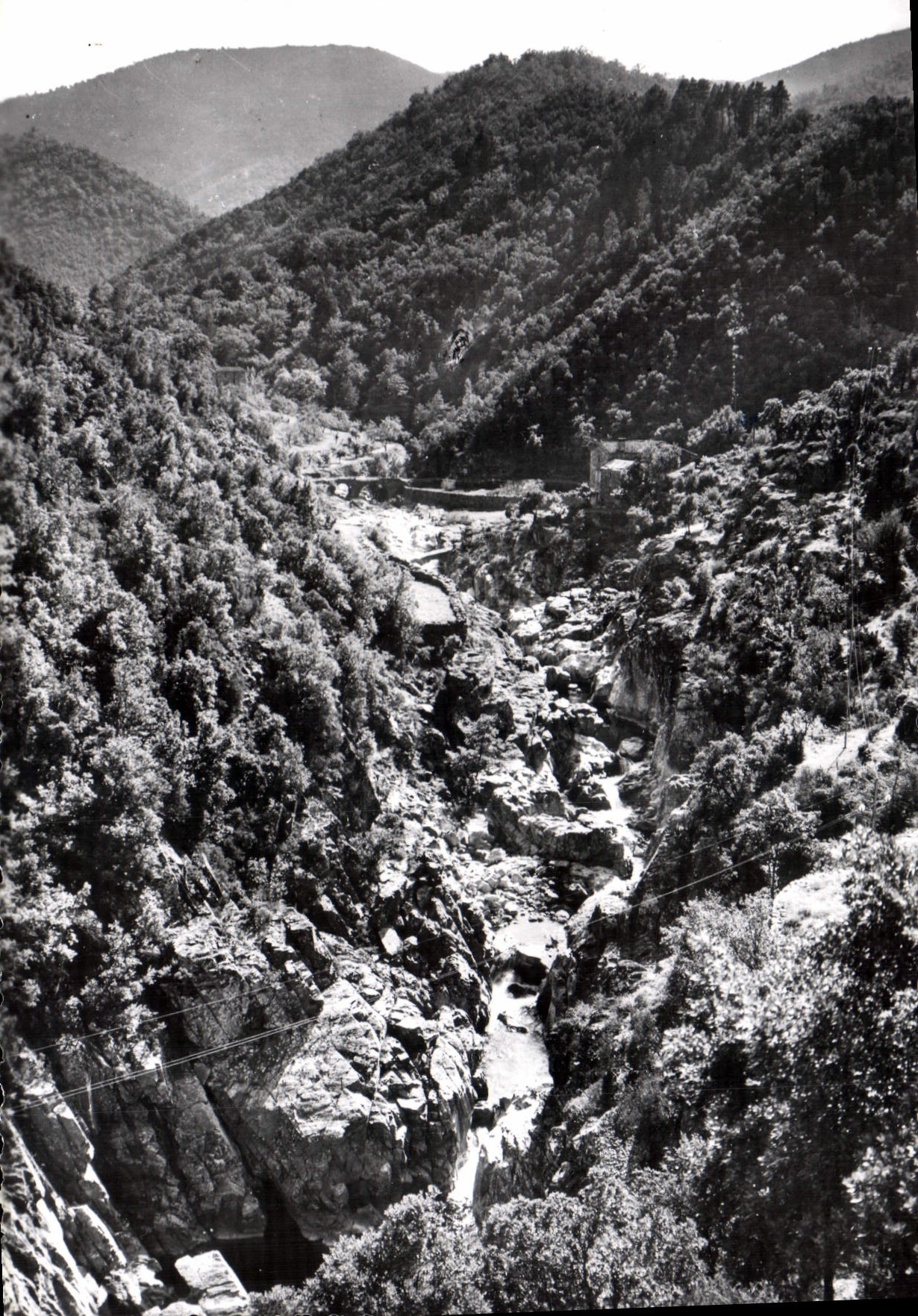 CPM L'Estrechure Le Gardon Aux Gorges De Soucy