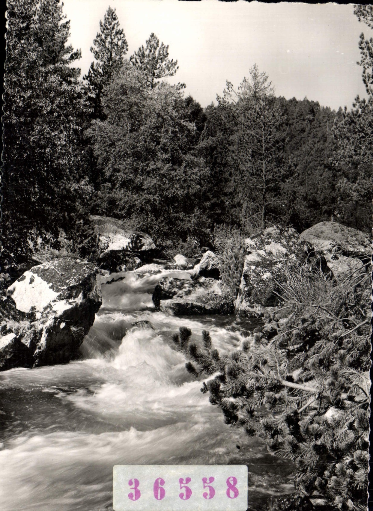 CPM Font Romeu