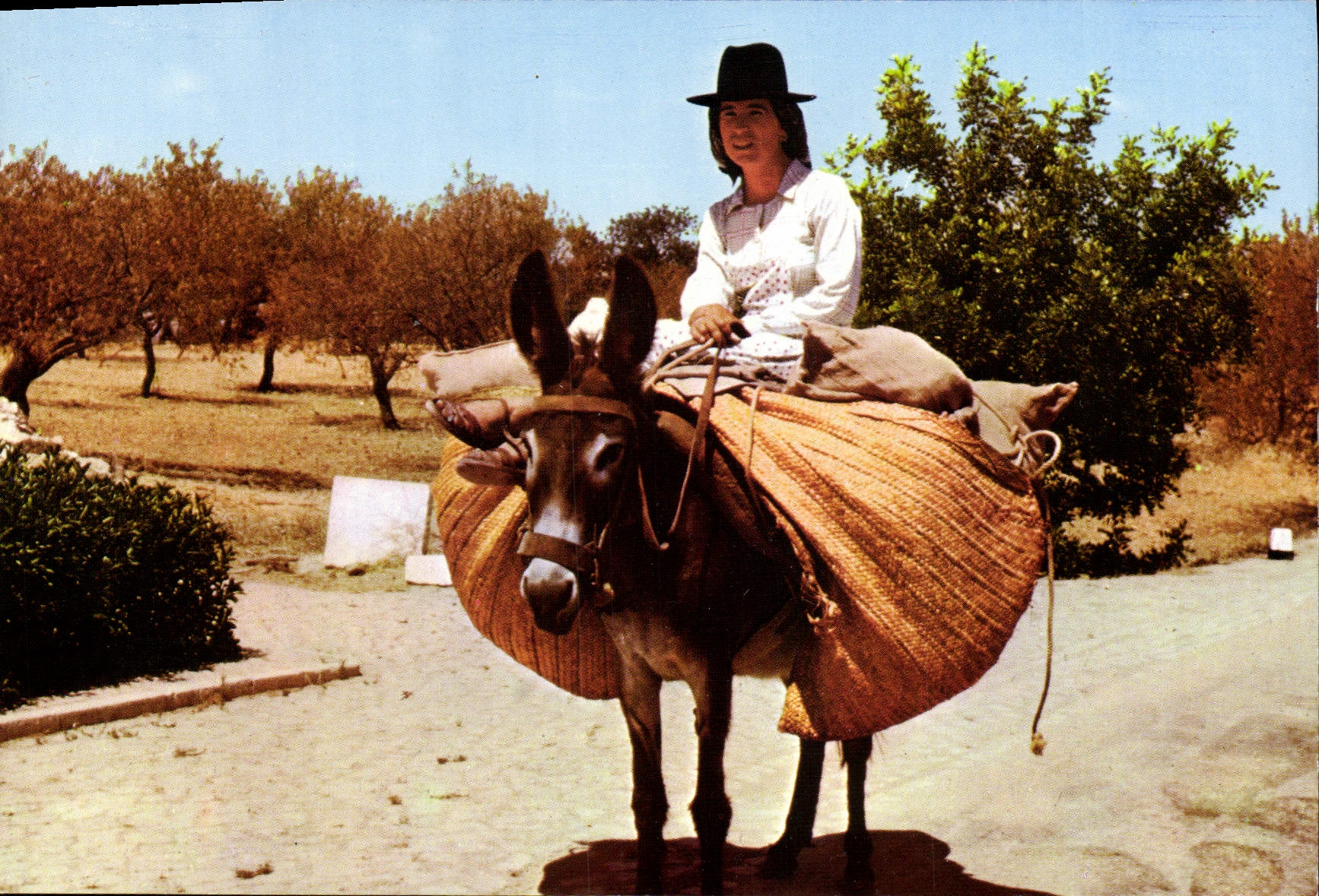 CPM Portugal Algarve Costumes