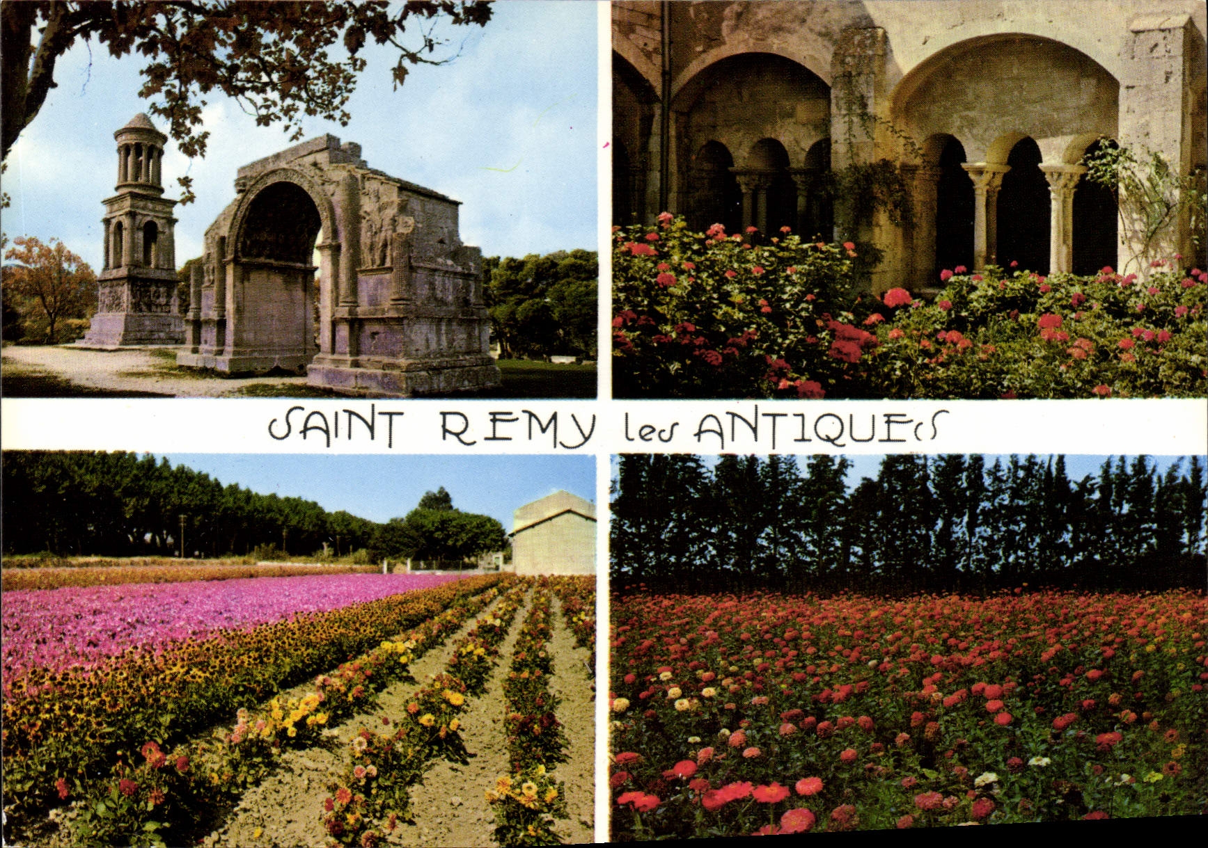 CPM Saint Remy De Provence