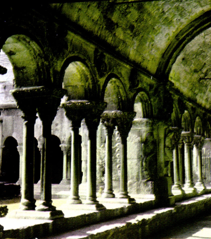 CPM Arles Sur Rhone Le Cloitre St Trophime