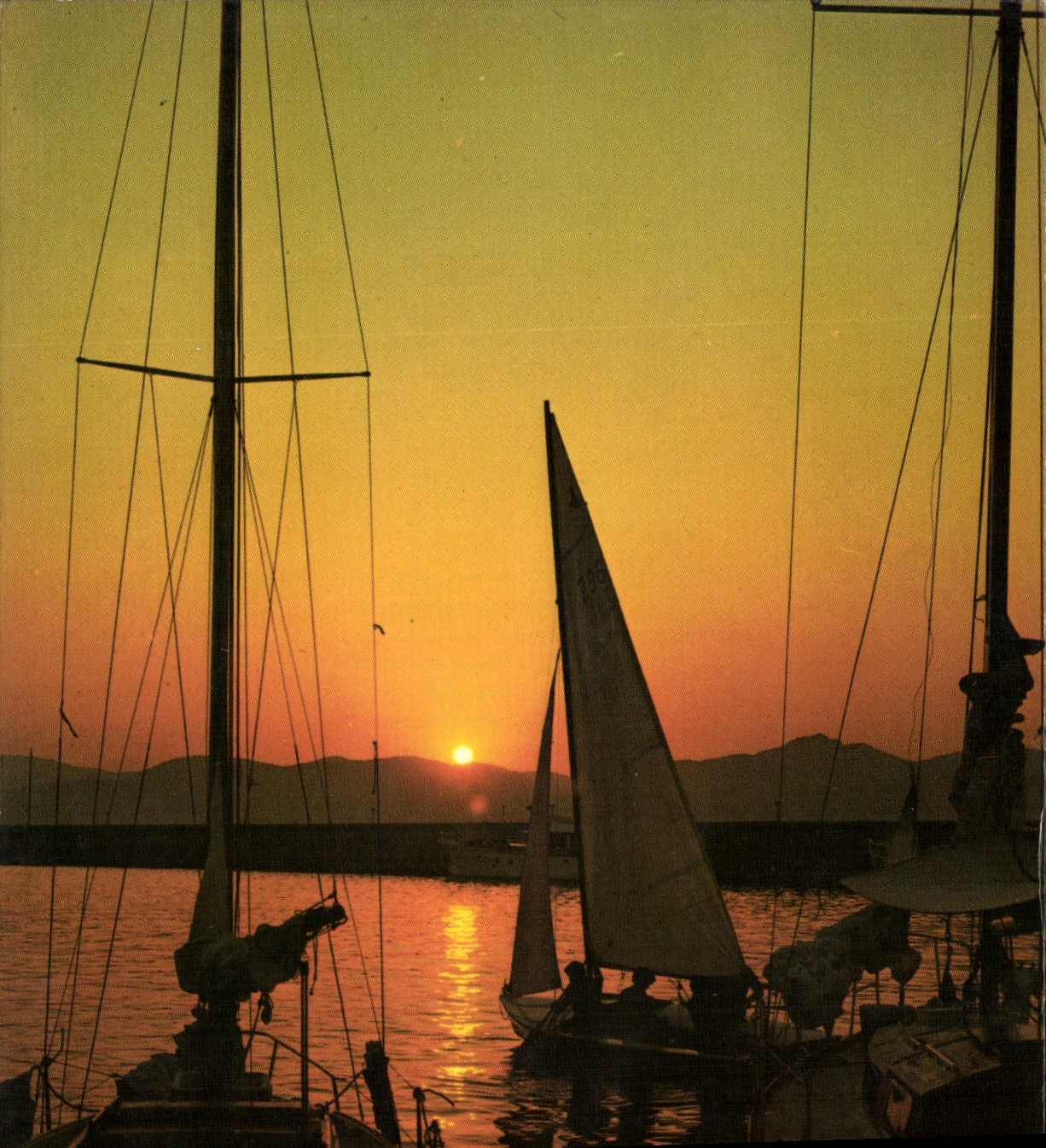 CPM Lumiere Et Beaute De La Cote D'Azur