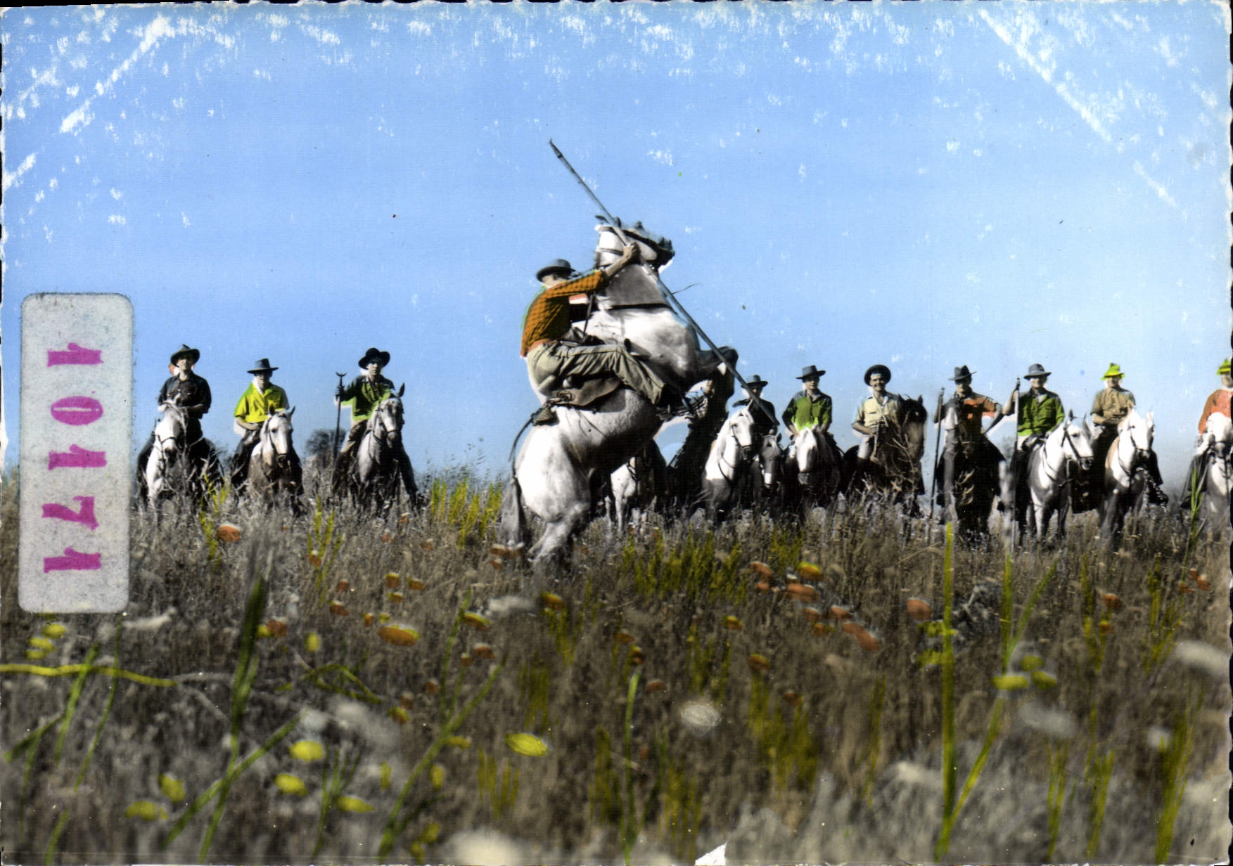 CPM En Camargue Gardians