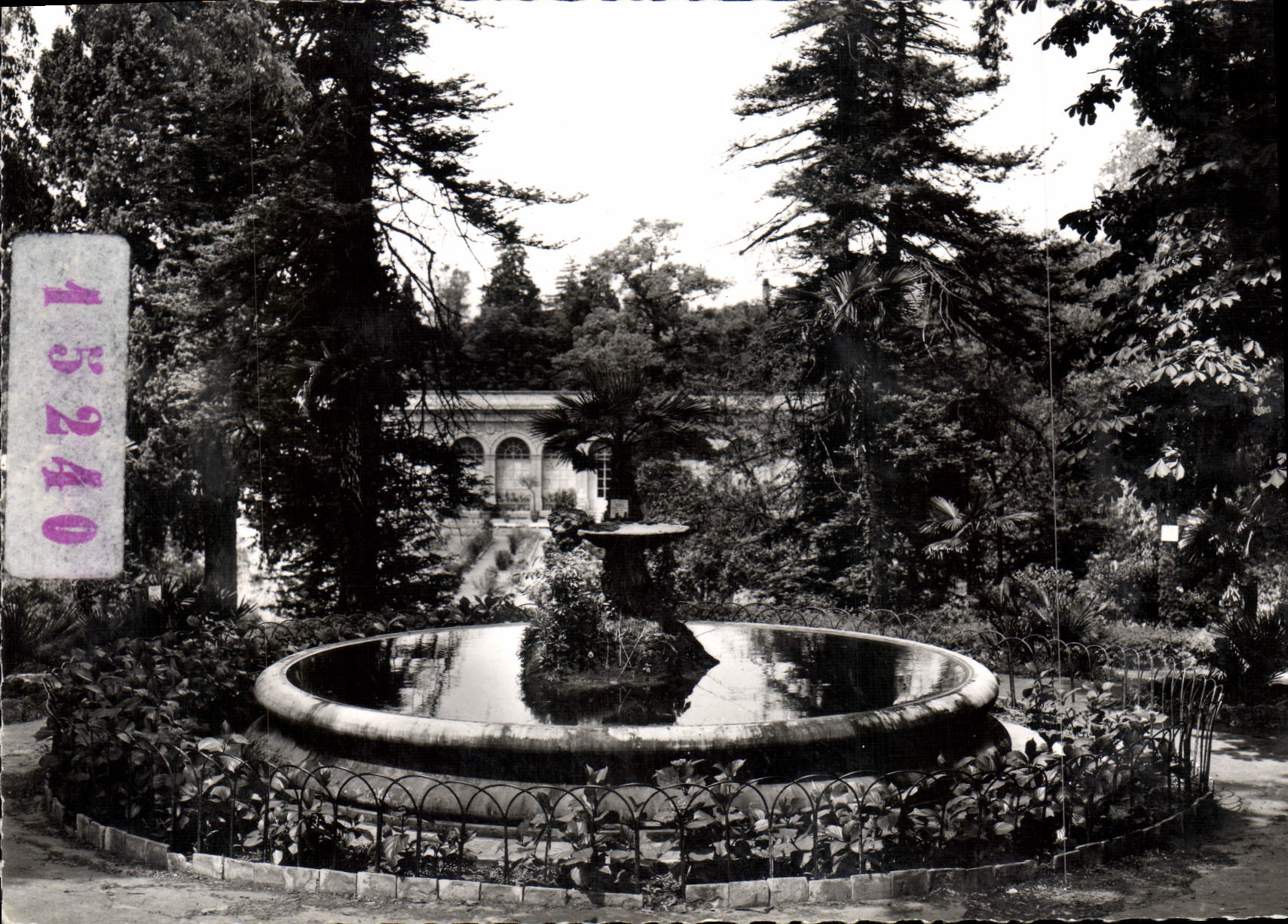 CPM Montpellier Jardin D'Acclimatation