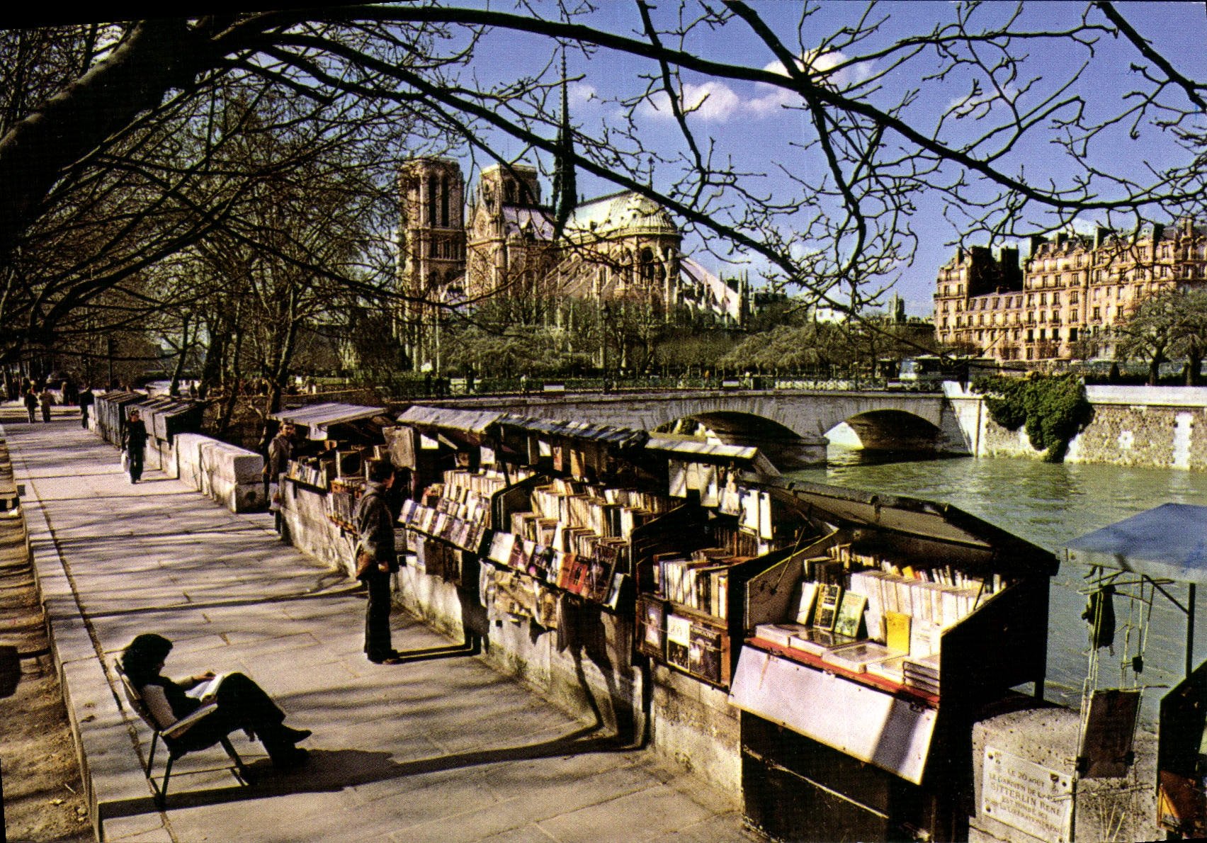 CPM Paris Notre Dame Et Les Bouquinistes