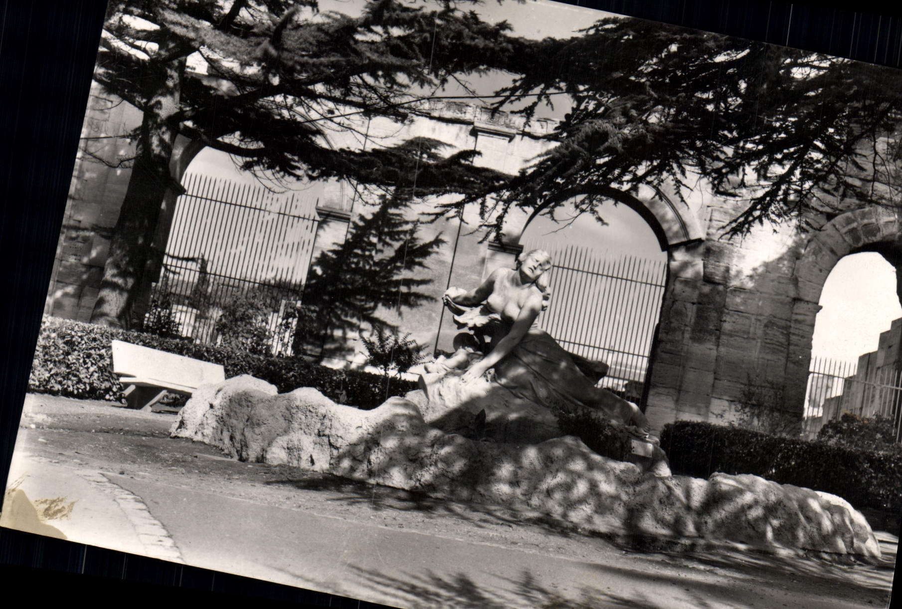 CPM Arles Jardin des Lices