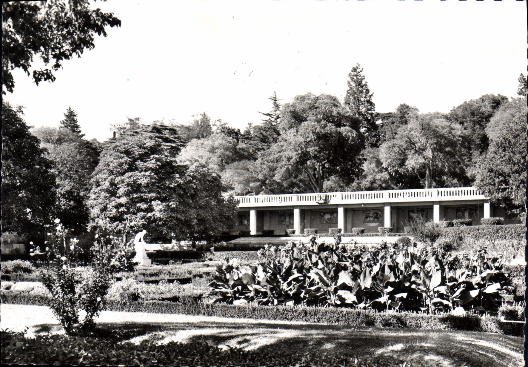 CPM Arles Les Jardins
