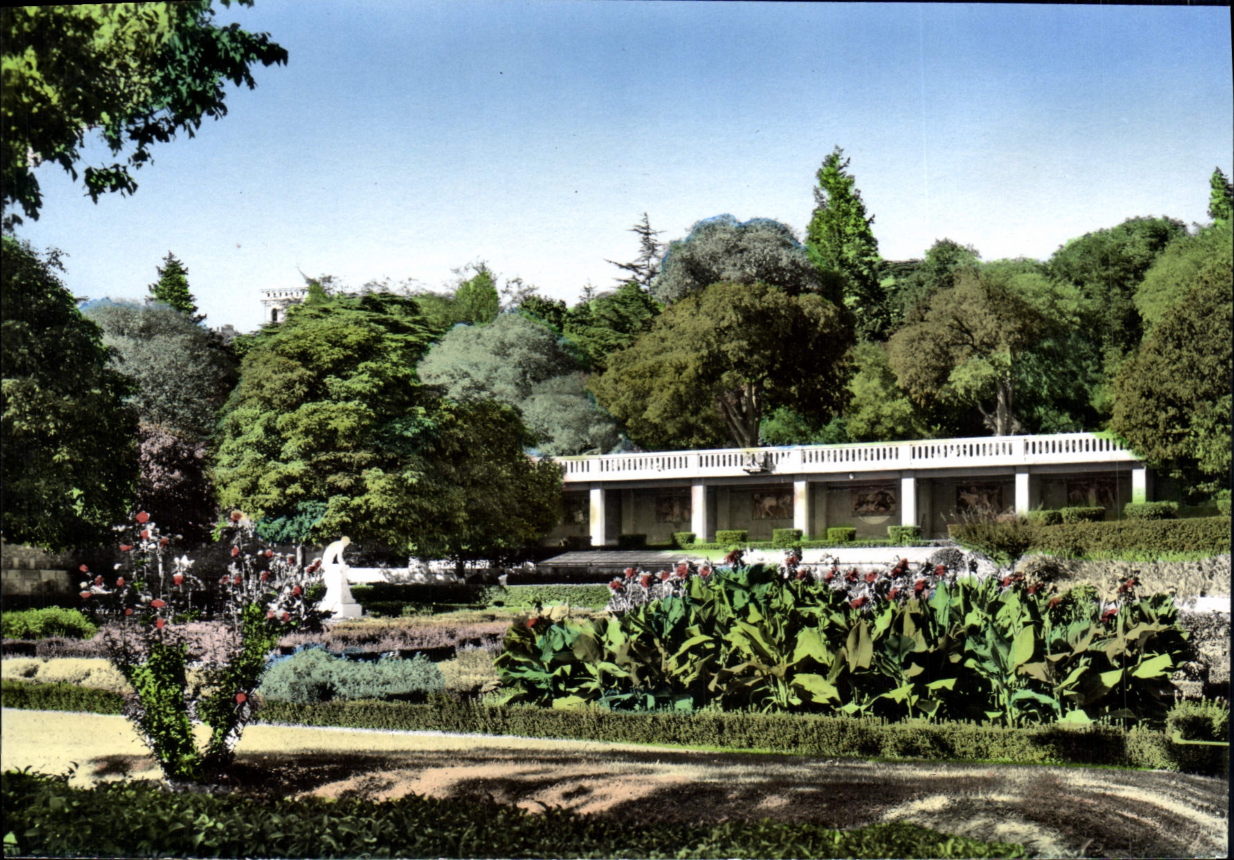 CPM Arles Les Jardins