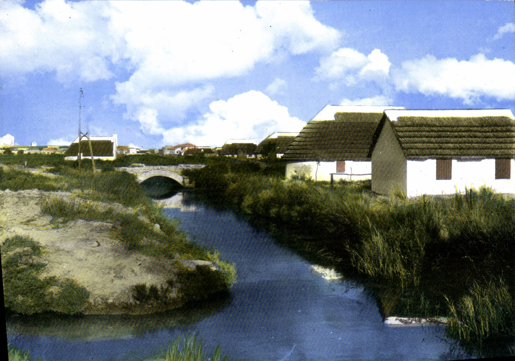 CPM En Camargue Pont en Camargue et Cabanes de Gardians