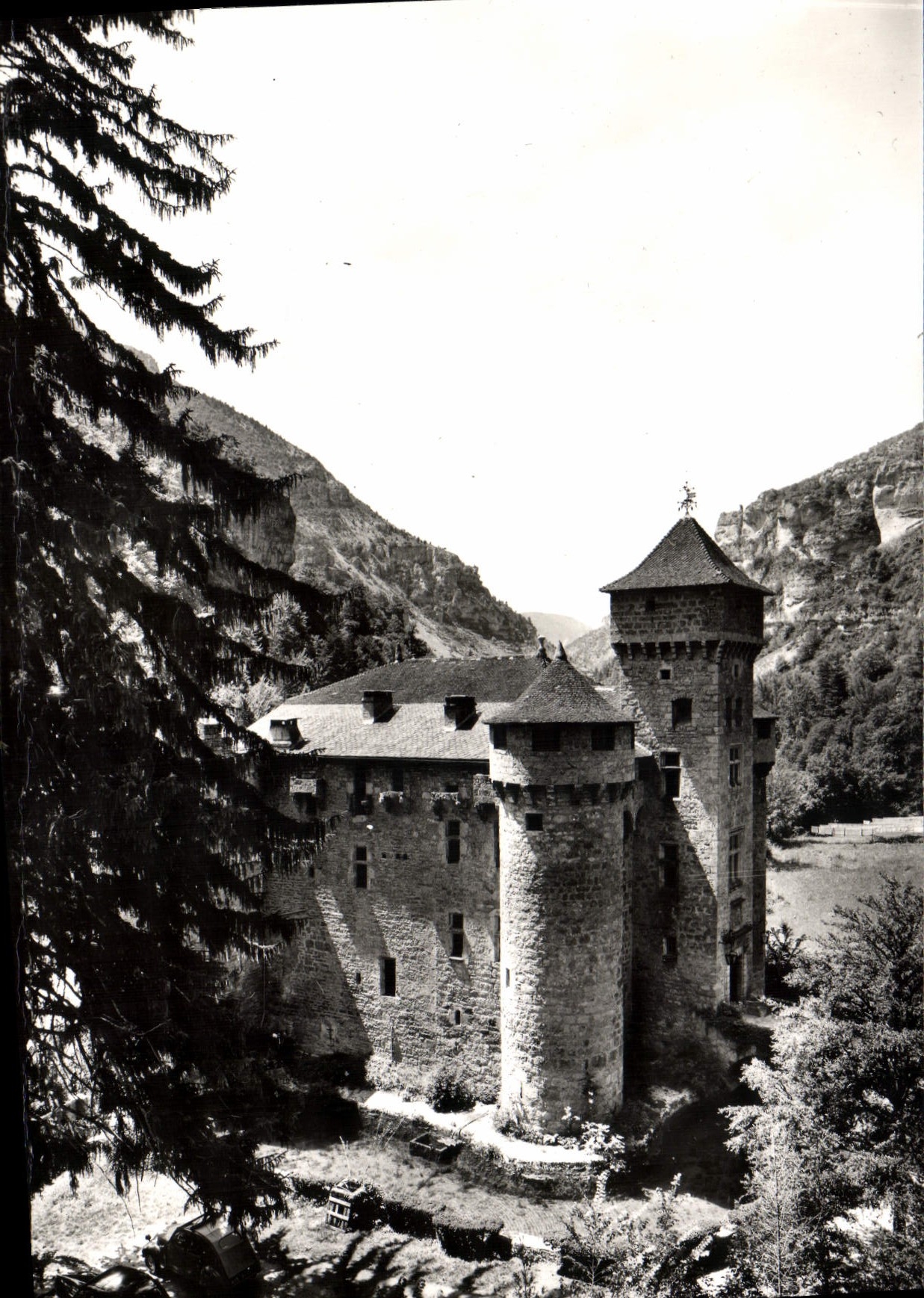 CPM Les Gorges du Tarn Chateau de la Caze